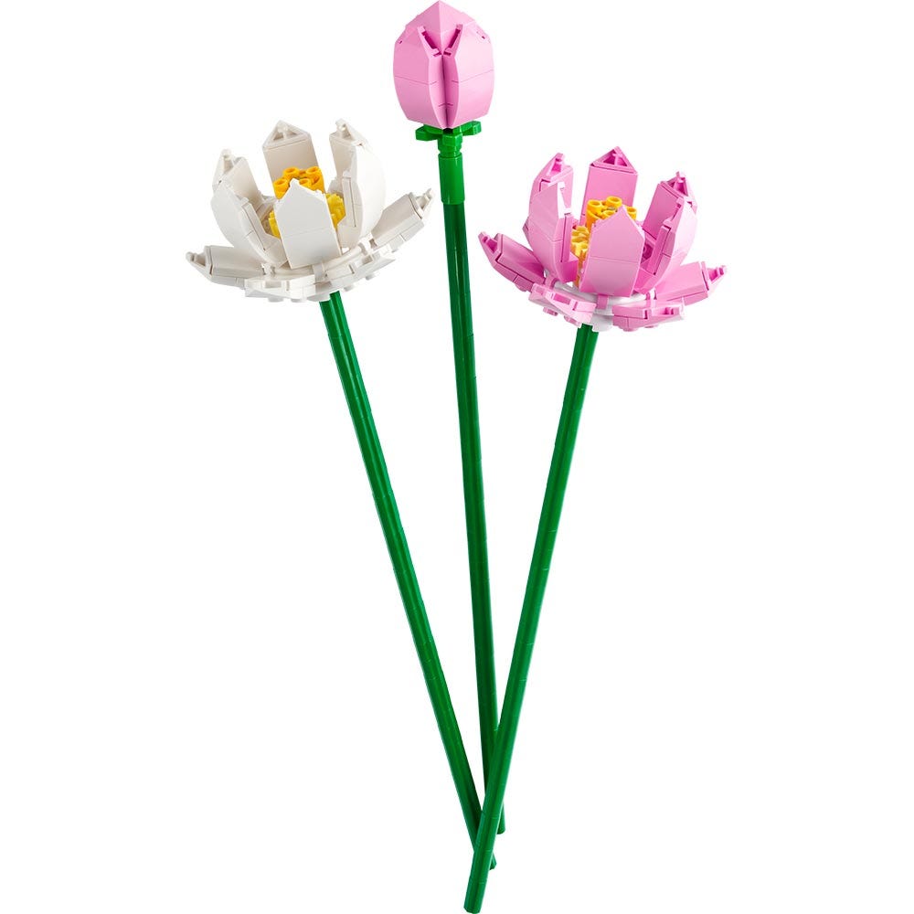 Flores de Loto