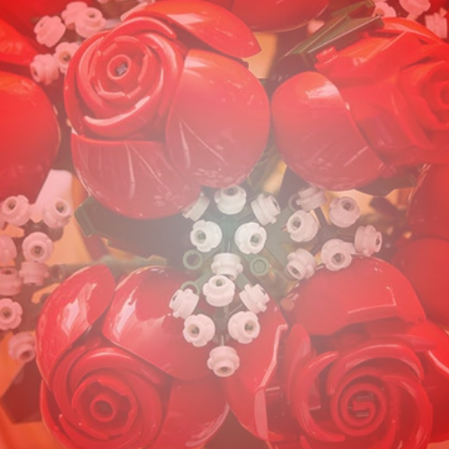 Una experiencia para compartir construyendo LEGO® Botanicals