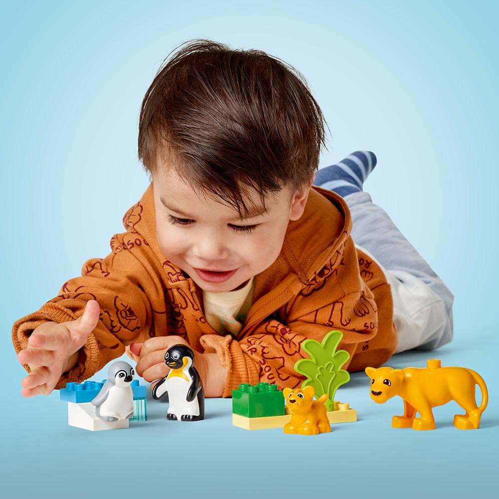 Familias de la Fauna Salvaje: Pingüinos y Leones