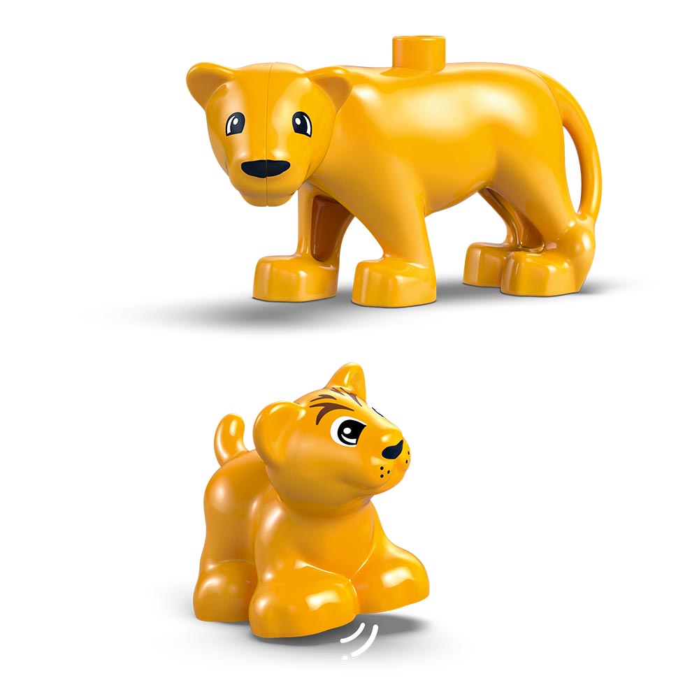 Familias de la Fauna Salvaje: Pingüinos y Leones
