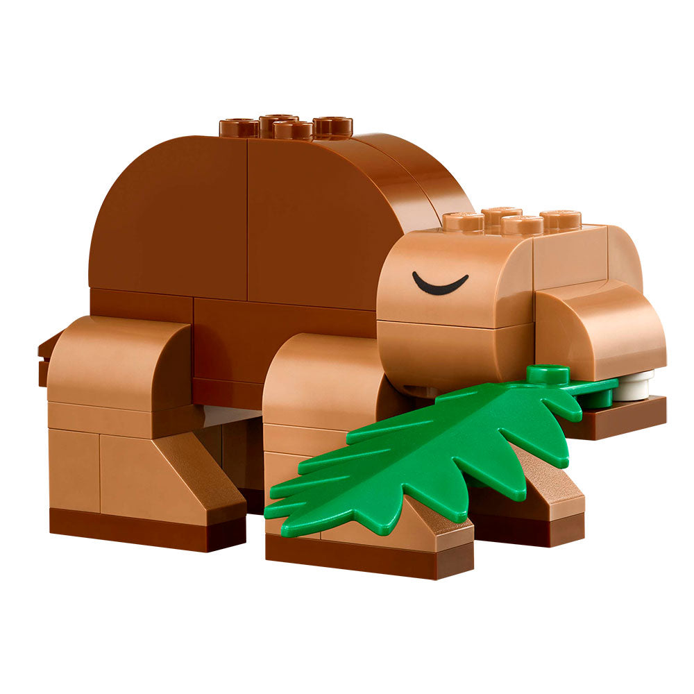 Dinosaurios Creativos