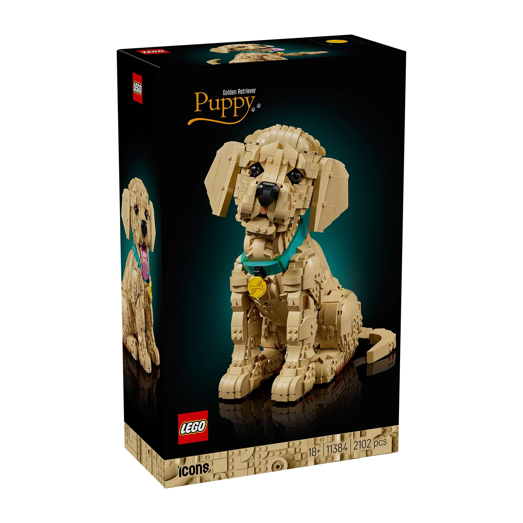 Cachorro de Golden Retriever