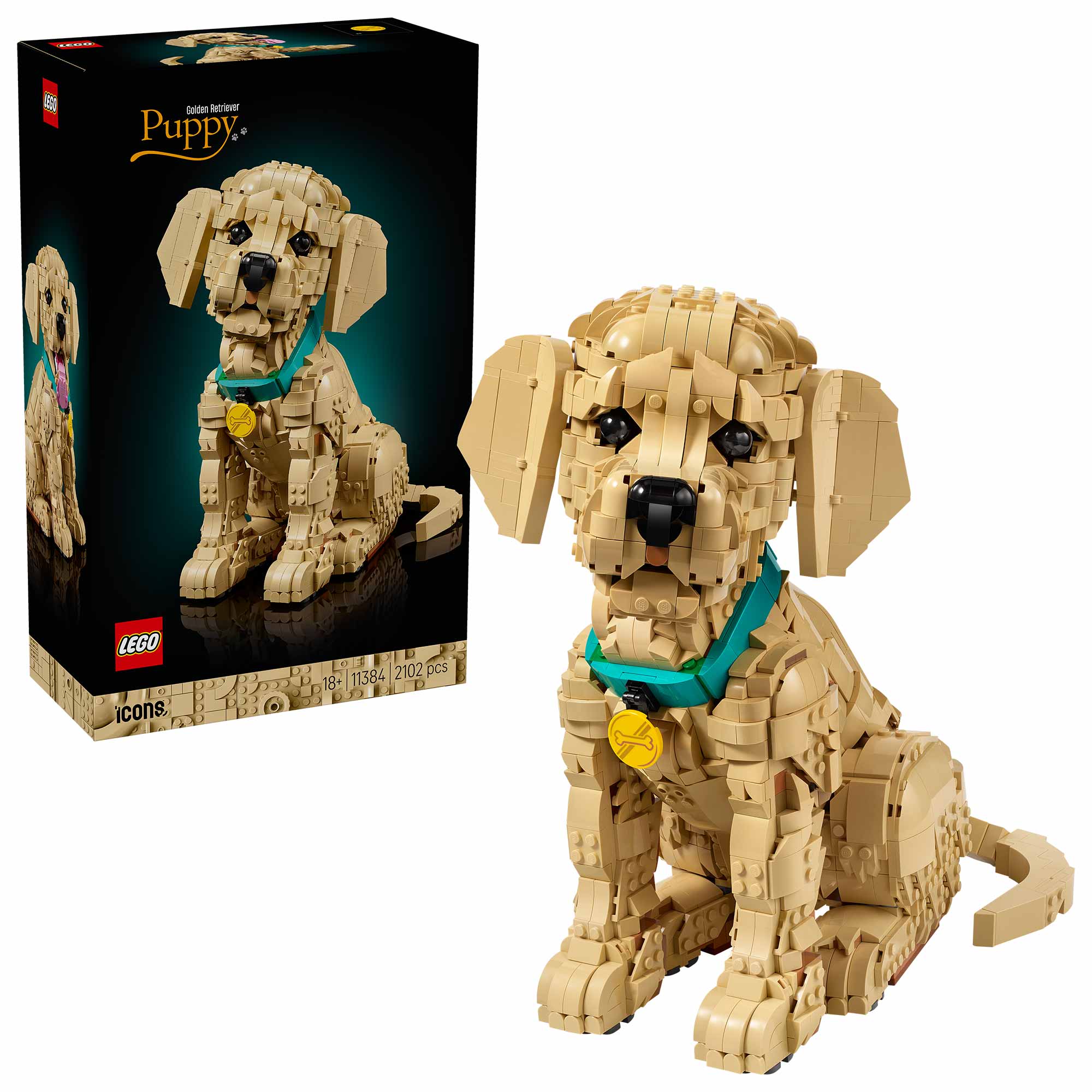 Cachorro de Golden Retriever