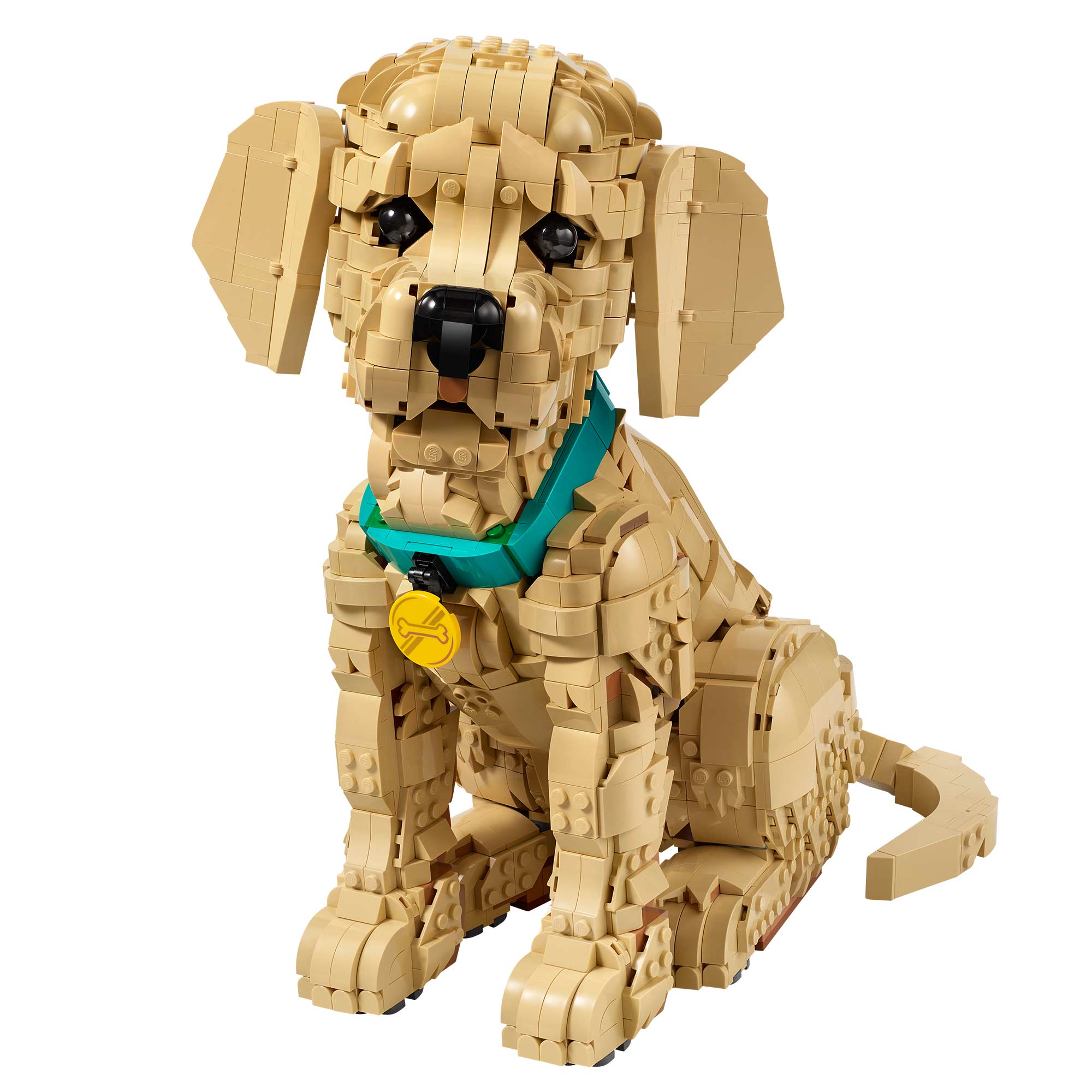 Cachorro de Golden Retriever