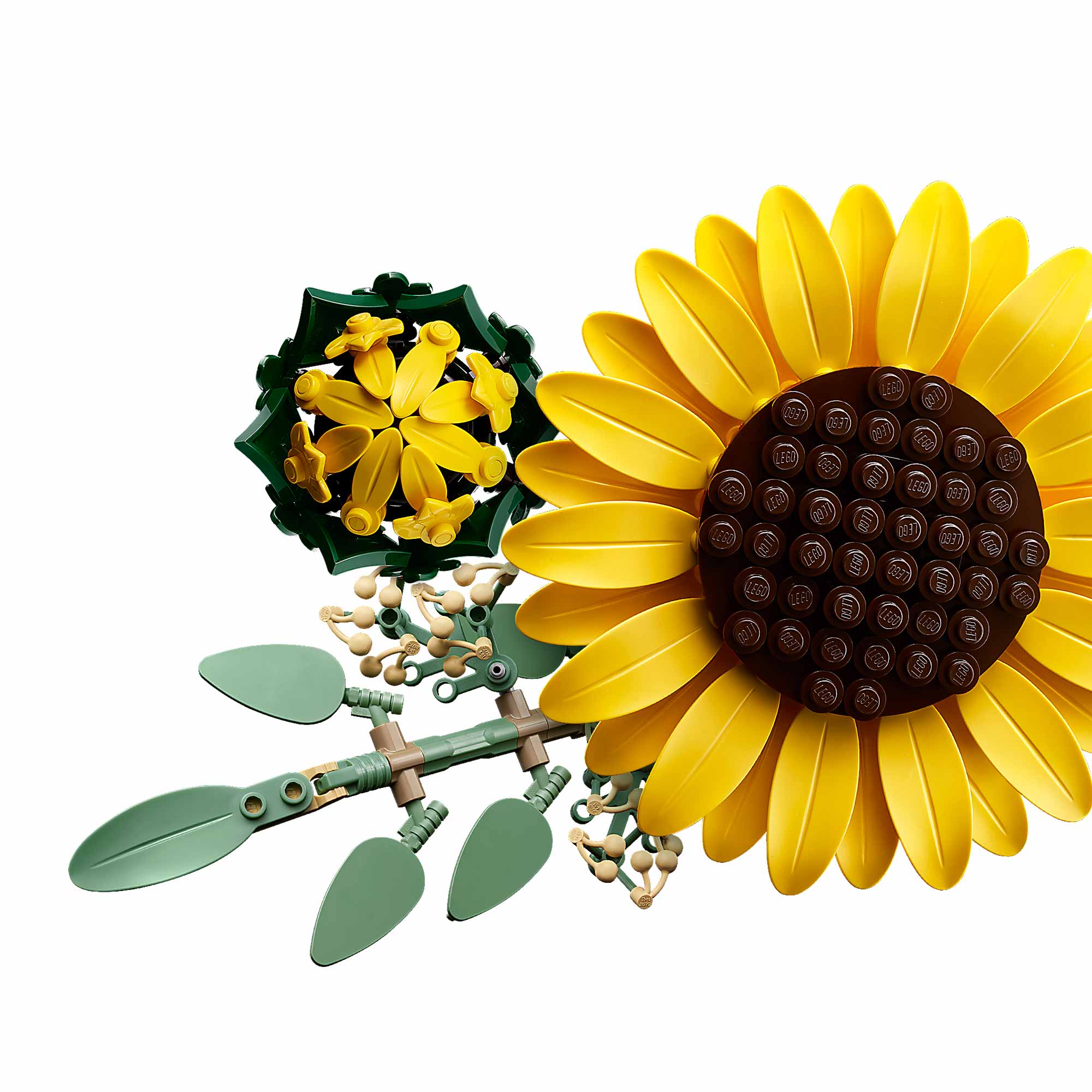 Ramo de Girasoles