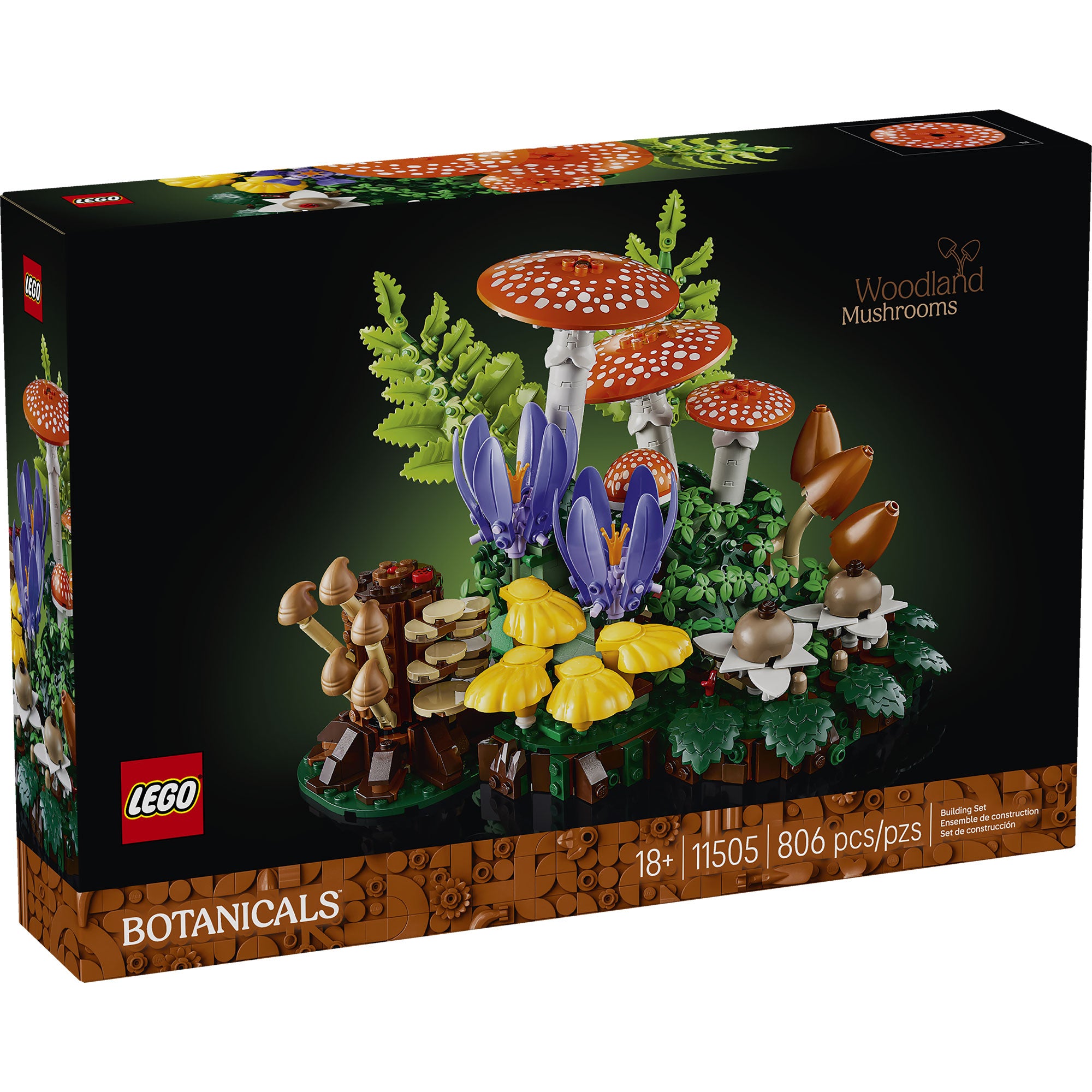 Hongos del Bosque