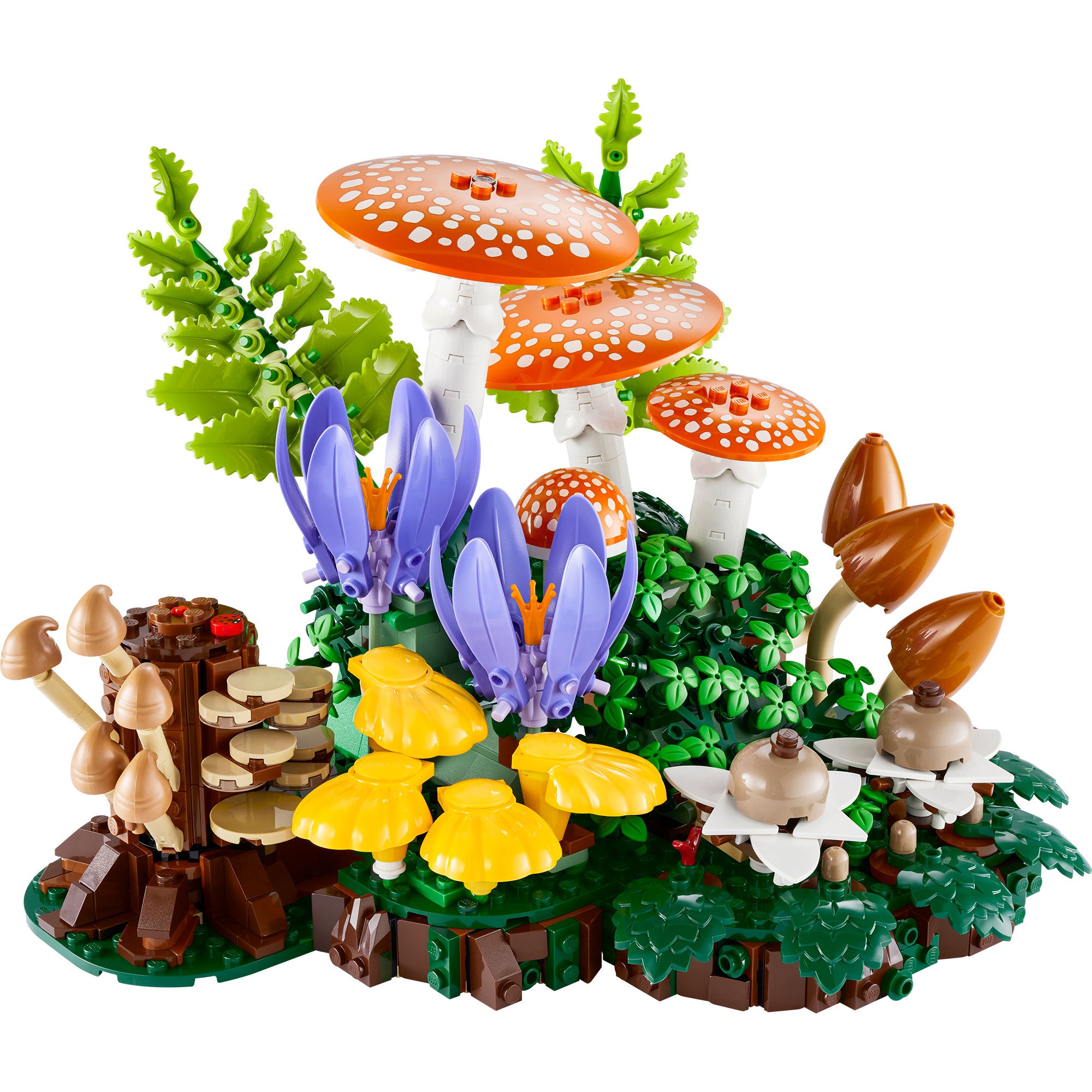 Hongos del Bosque