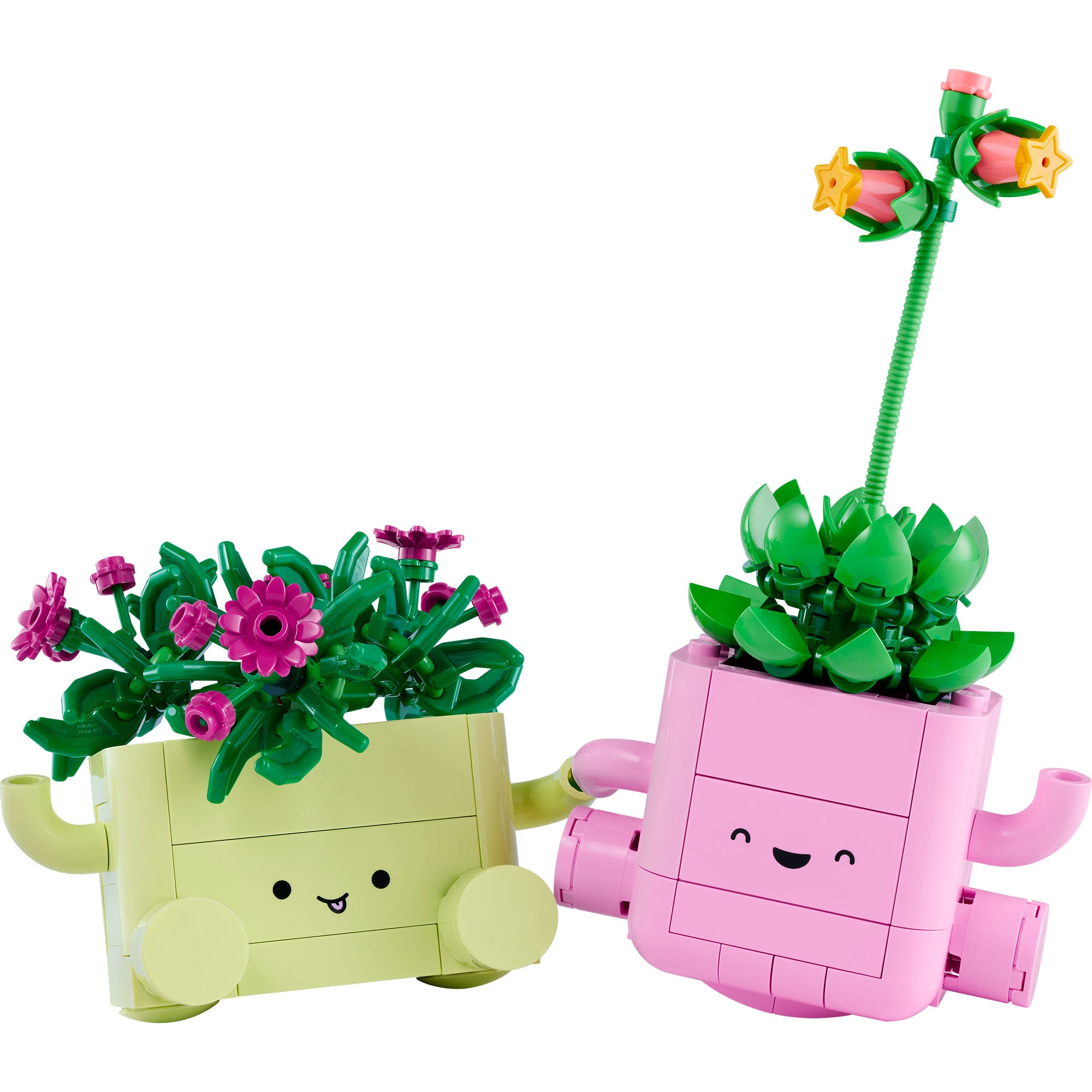 Plantas Bailarinas