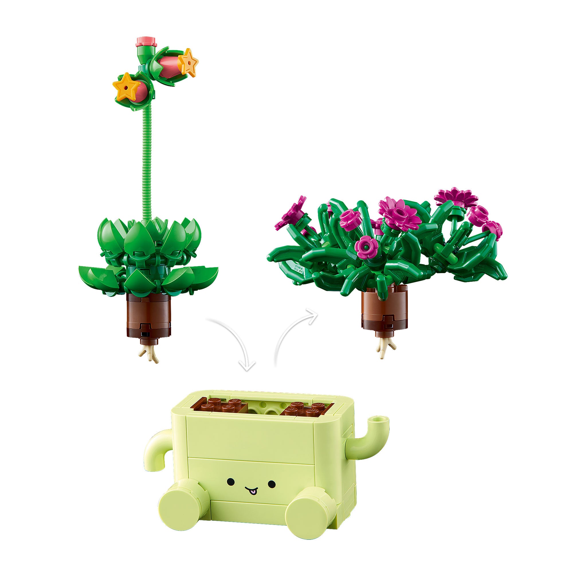 Plantas Bailarinas
