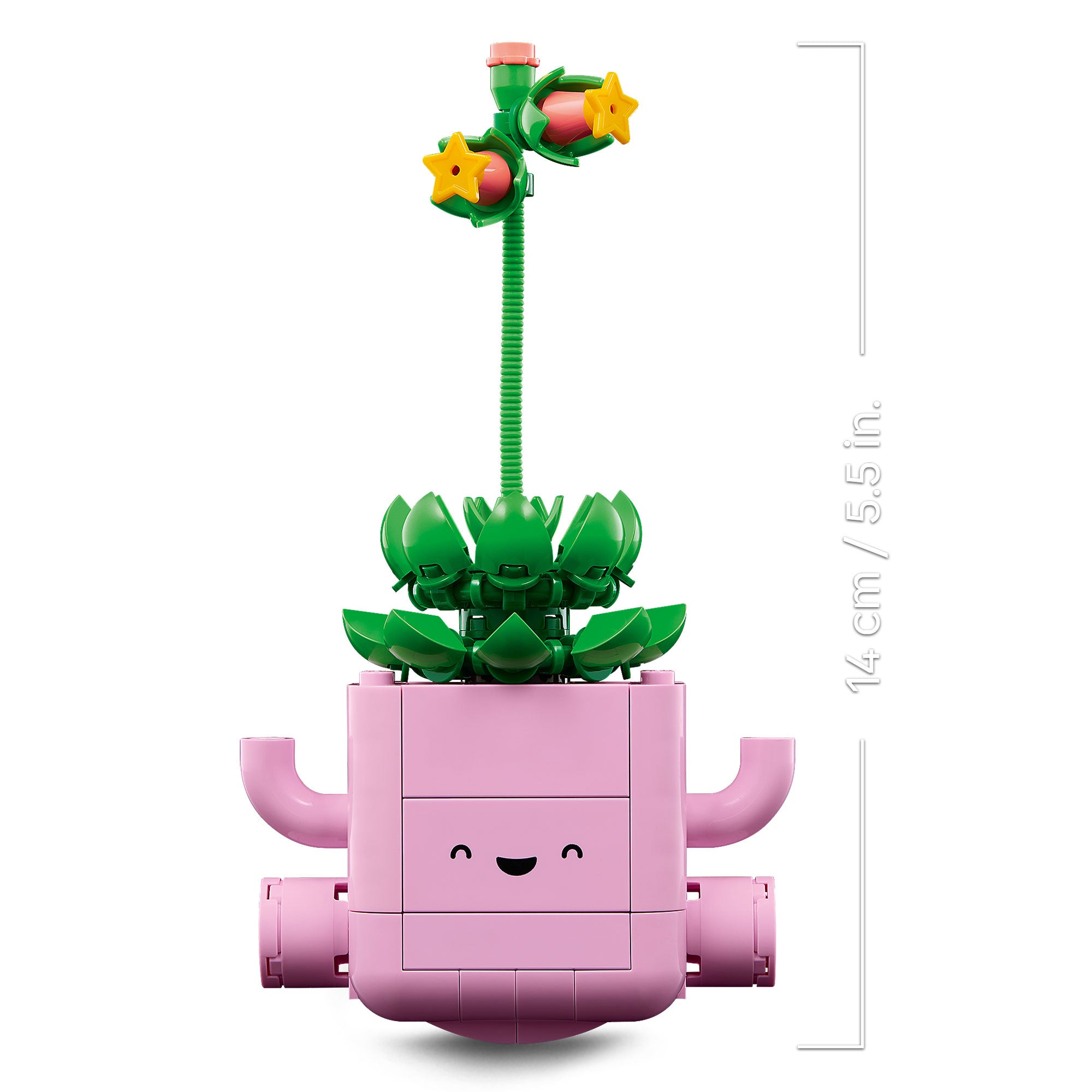 Plantas Bailarinas
