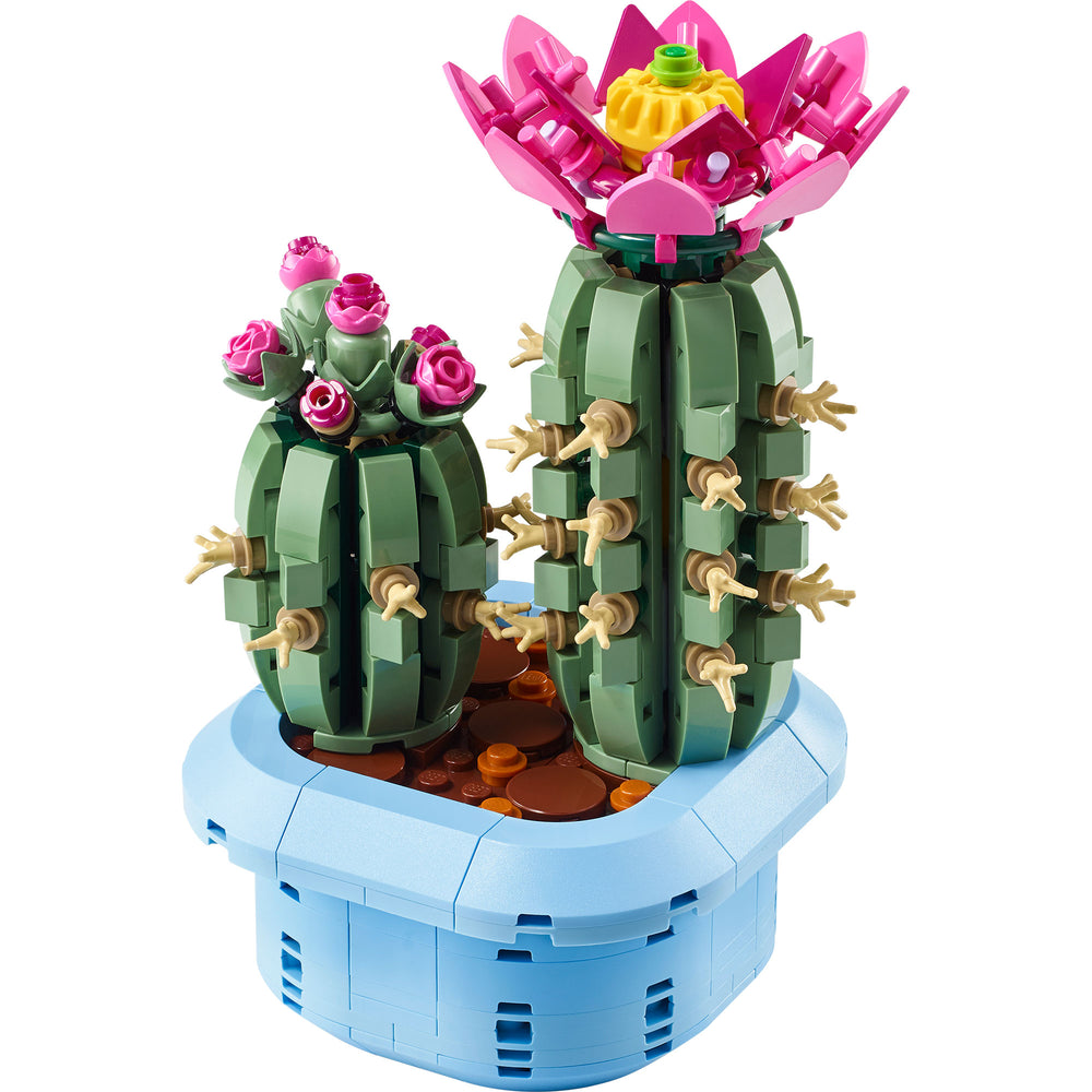 Cactus en Flor