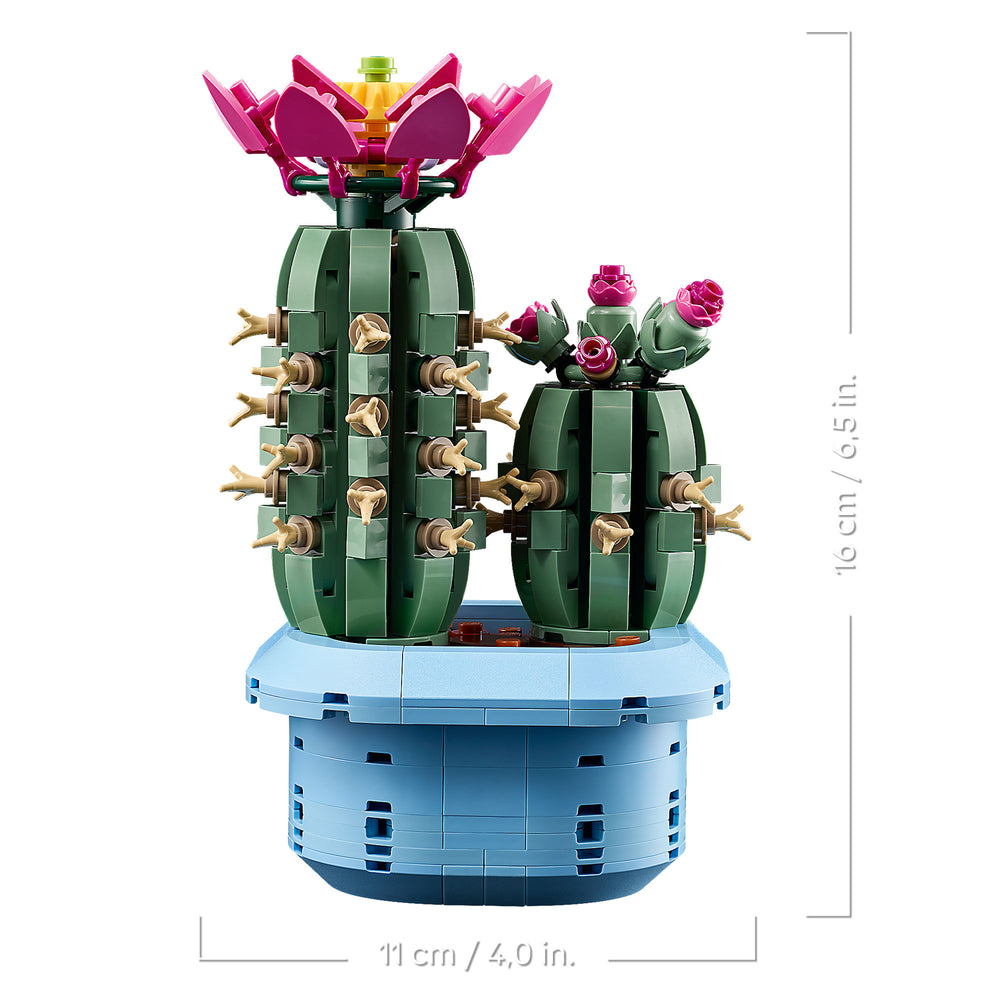Cactus en Flor