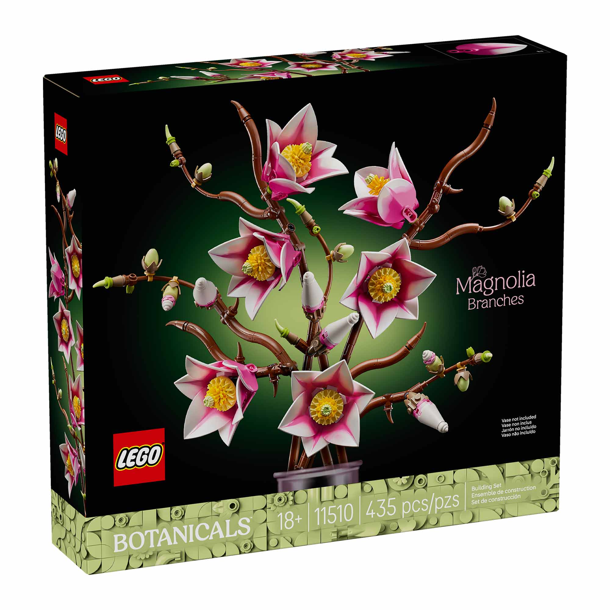 Ramas de Magnolia