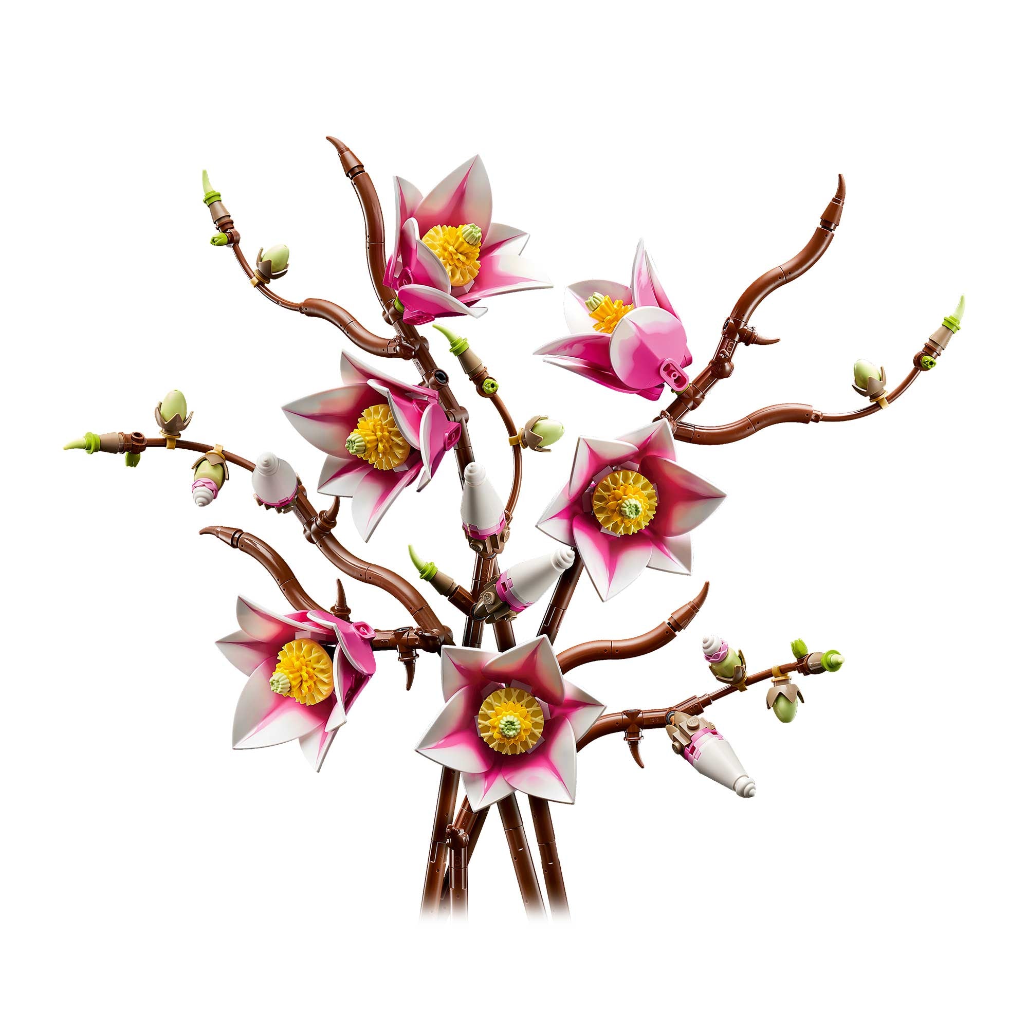 Ramas de Magnolia