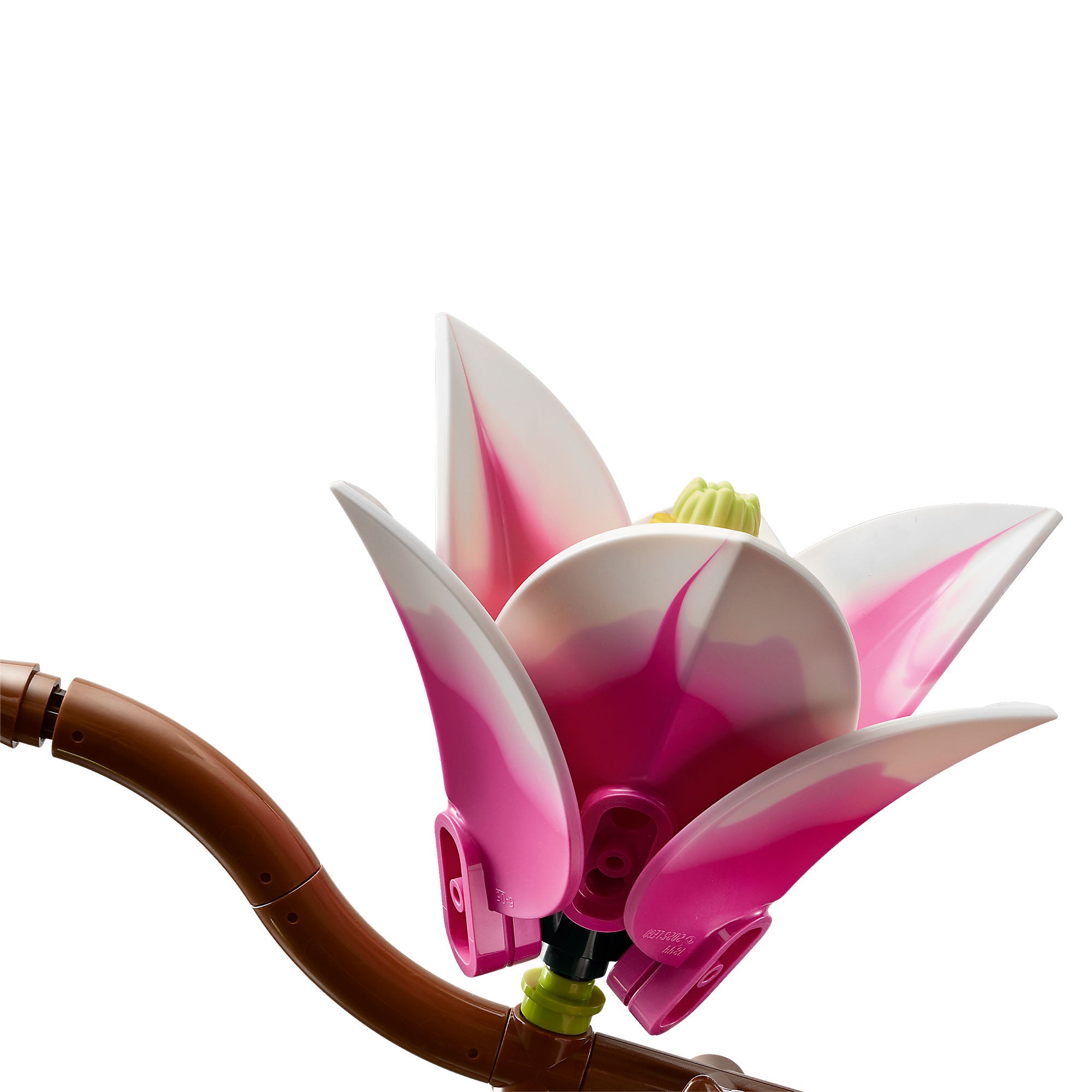 Ramas de Magnolia