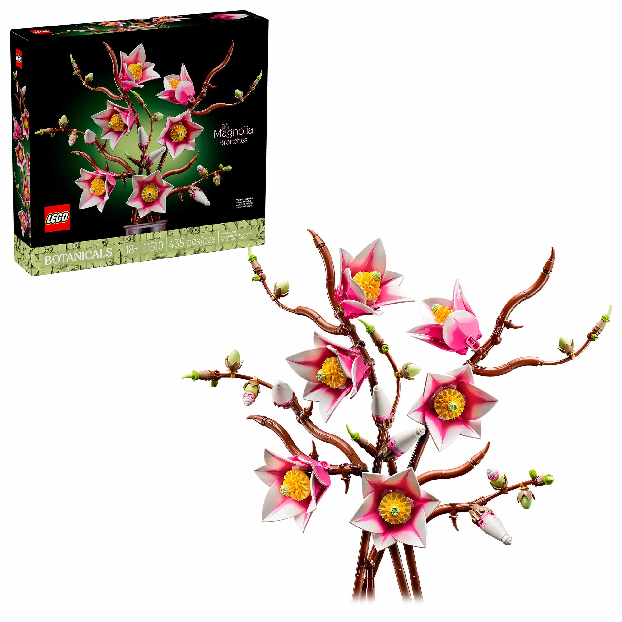 Ramas de Magnolia