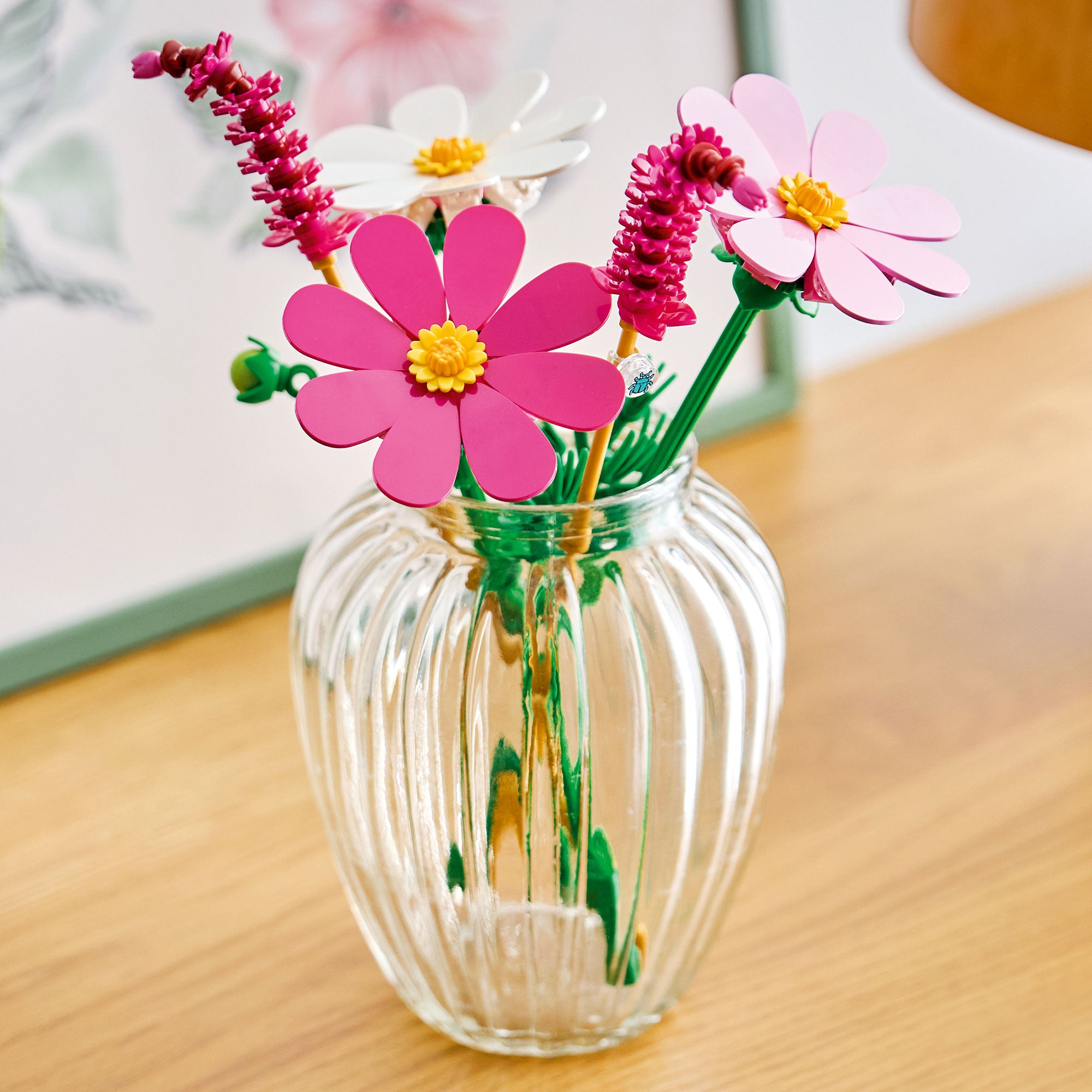 Flores de Cosmos