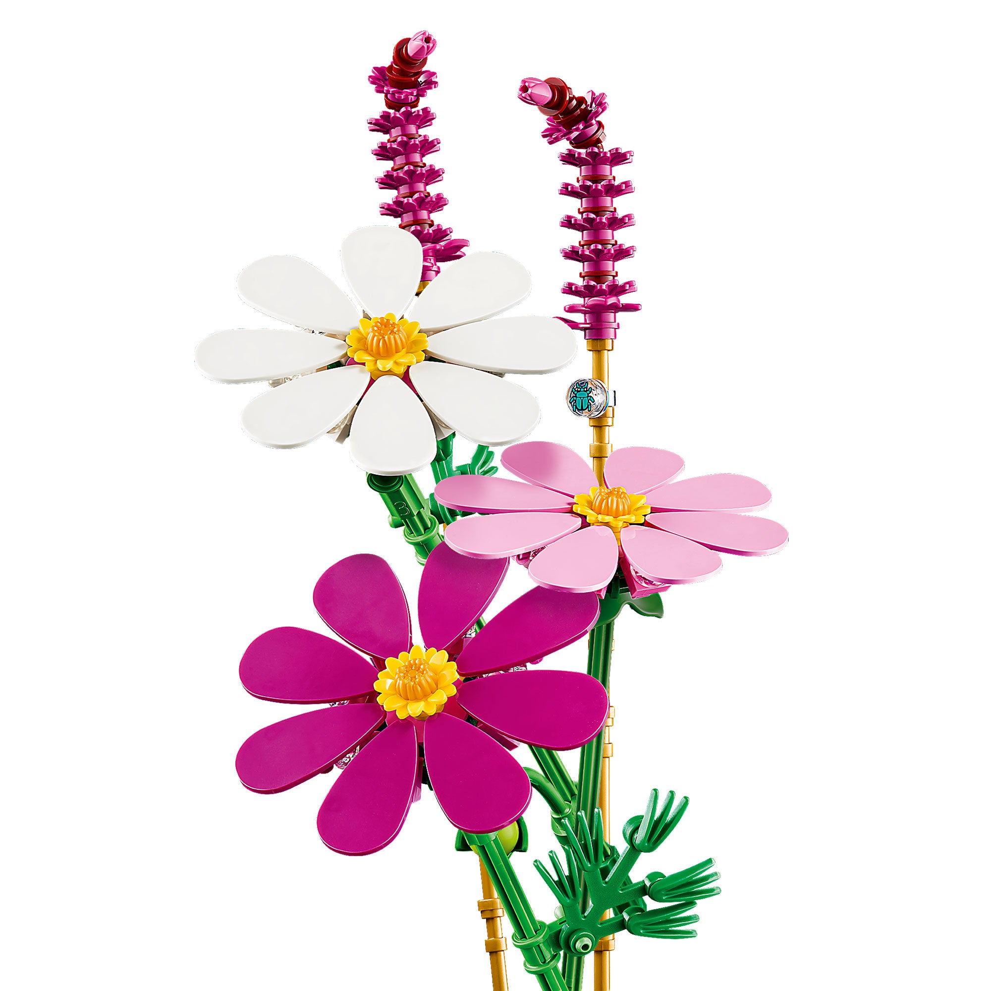 Flores de Cosmos