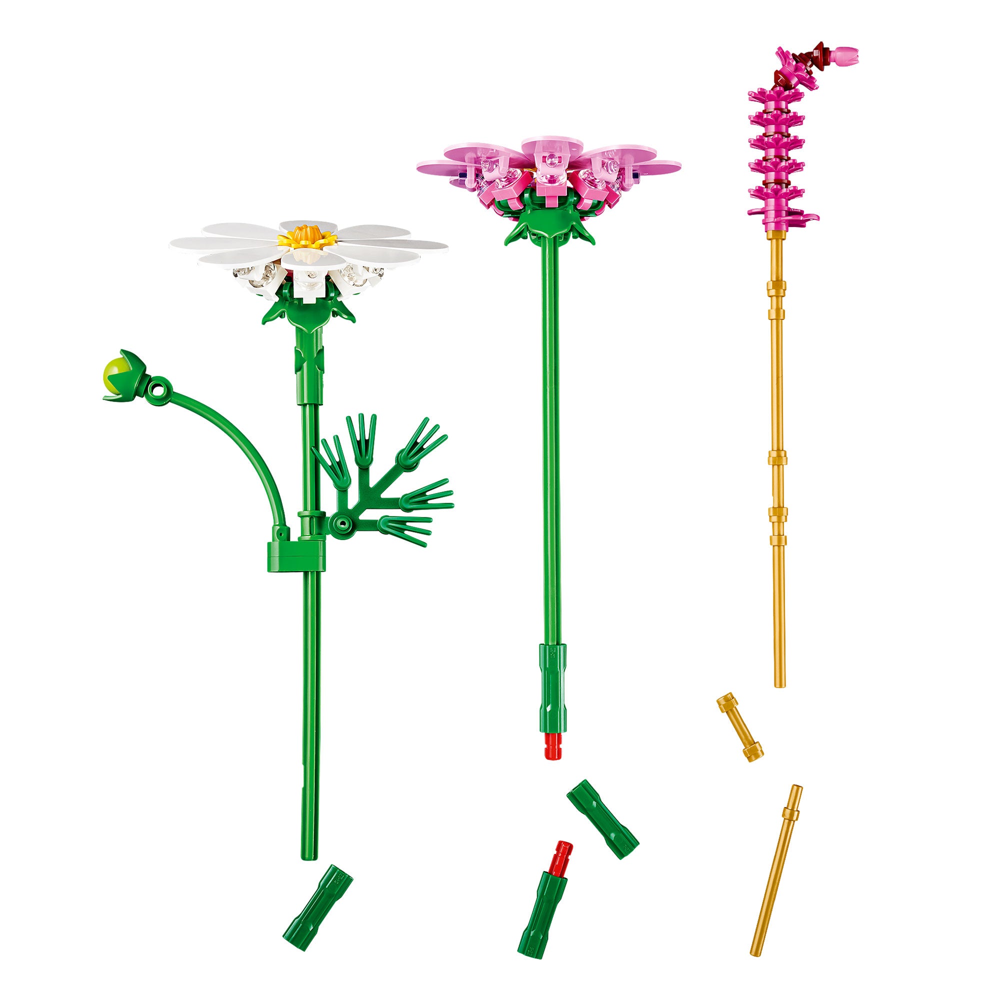 Flores de Cosmos