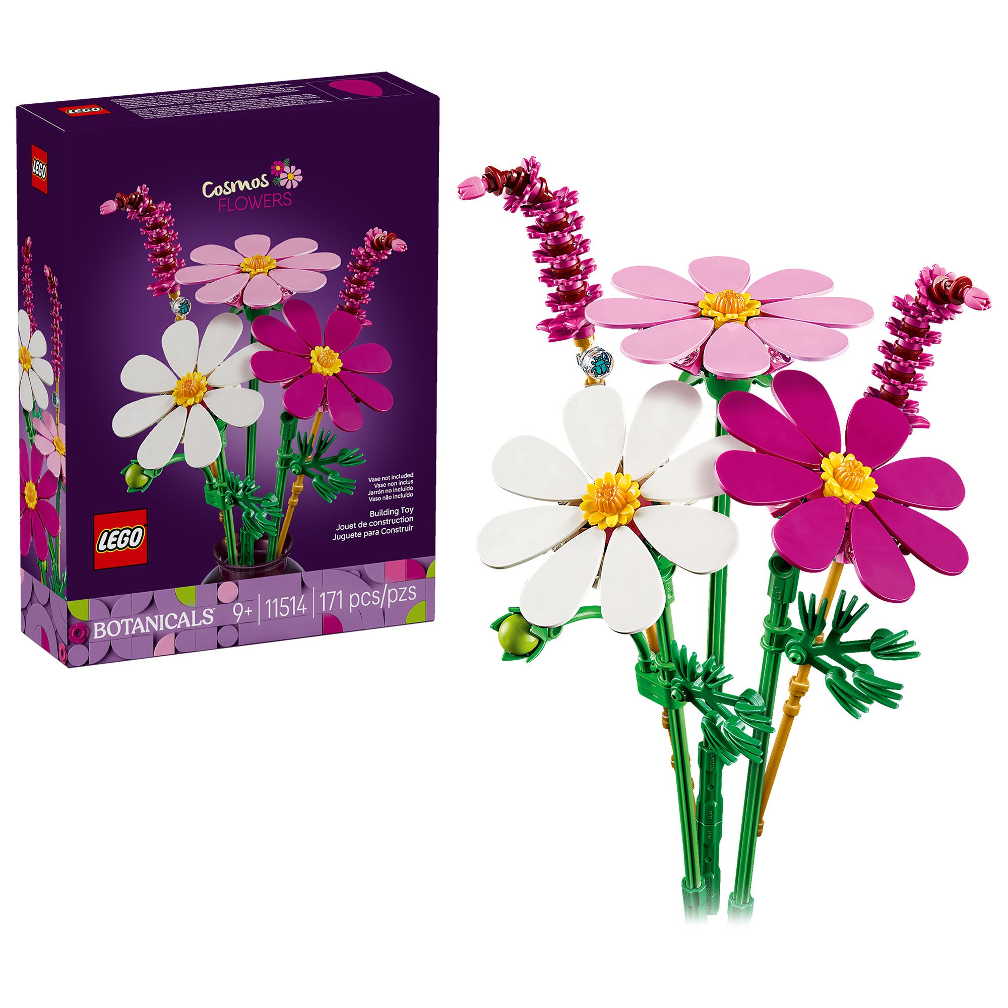Flores de Cosmos