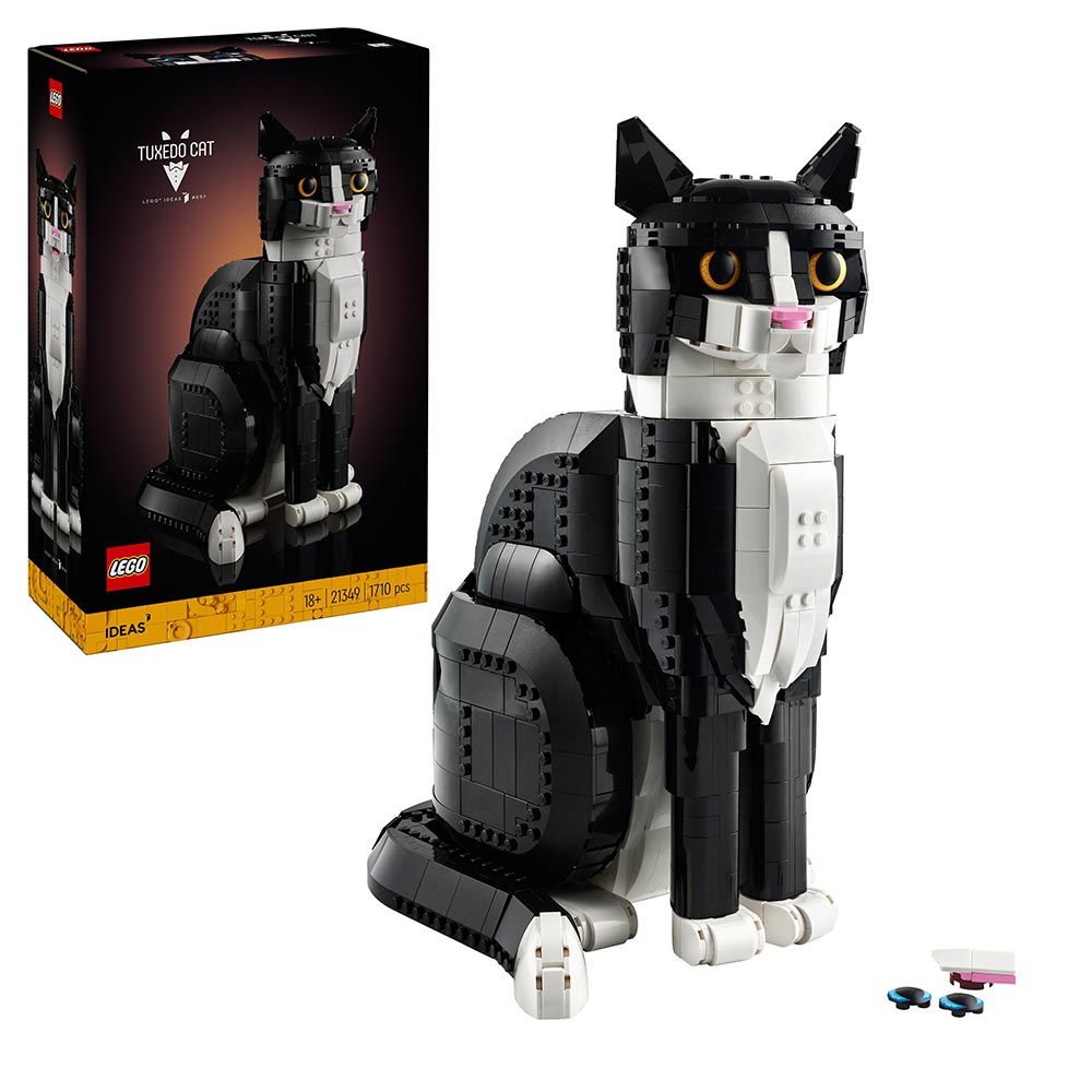 Gato Bicolor