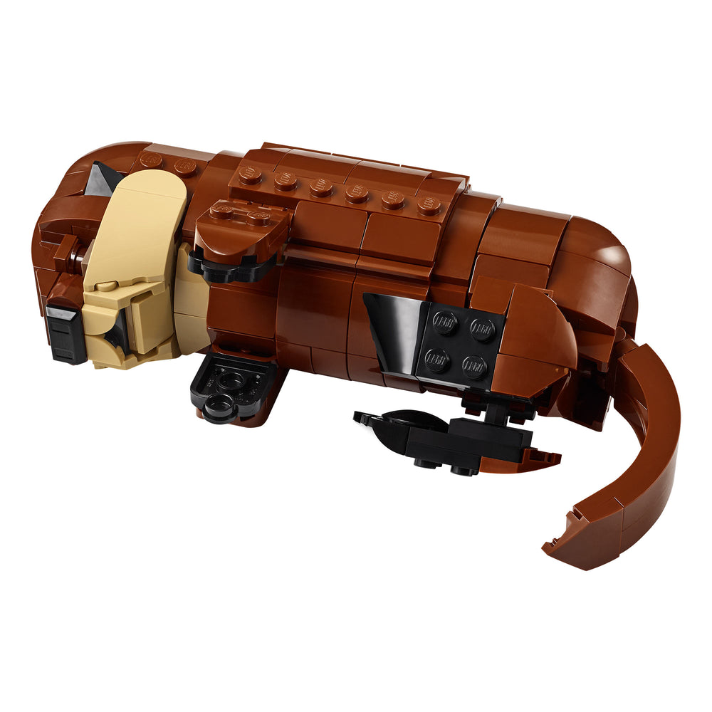 Nutrias Marinas a Flote