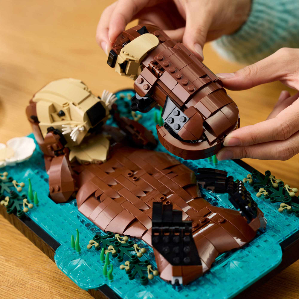 Nutrias Marinas a Flote