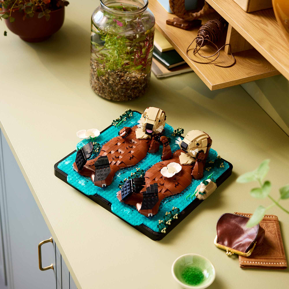 Nutrias Marinas a Flote