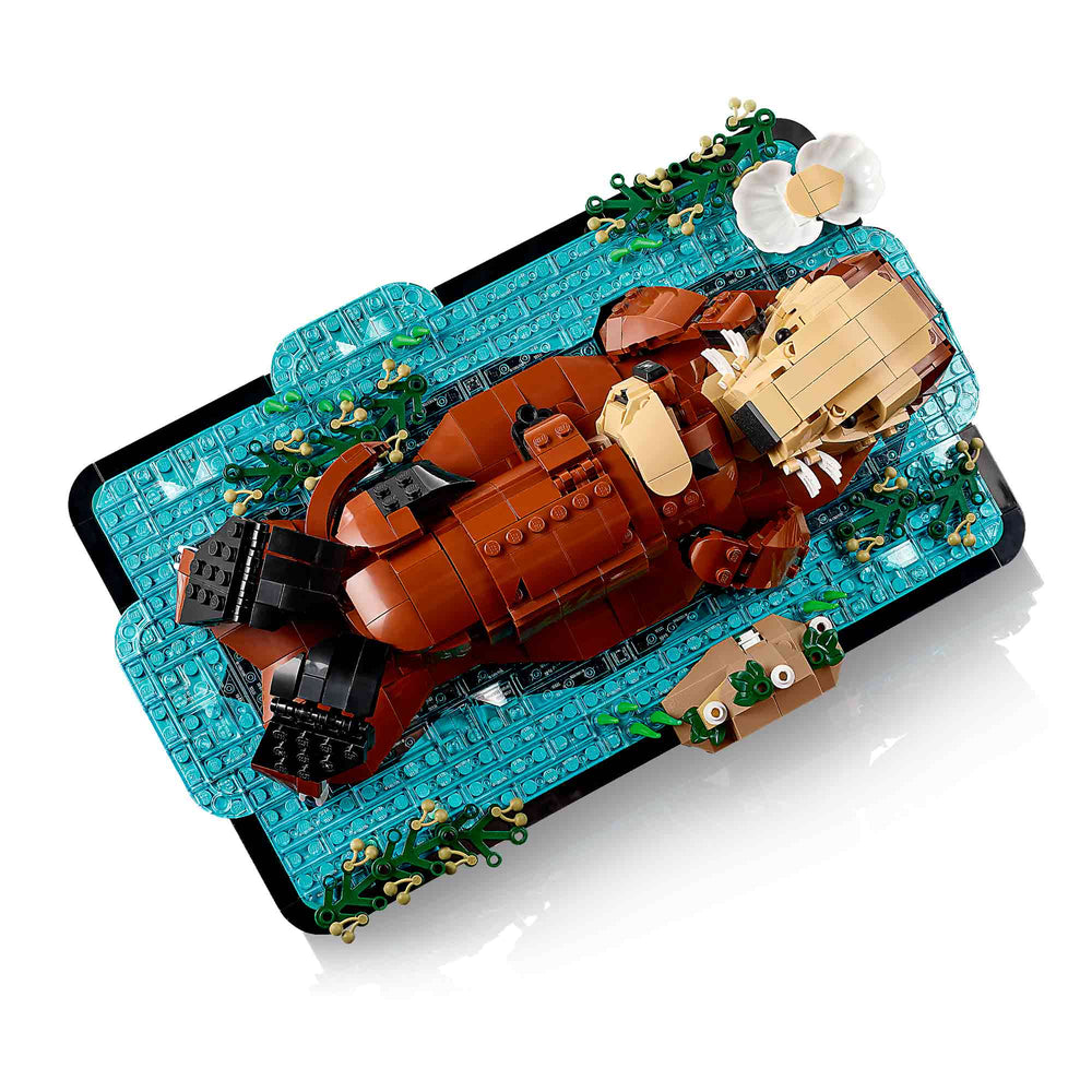 Nutrias Marinas a Flote