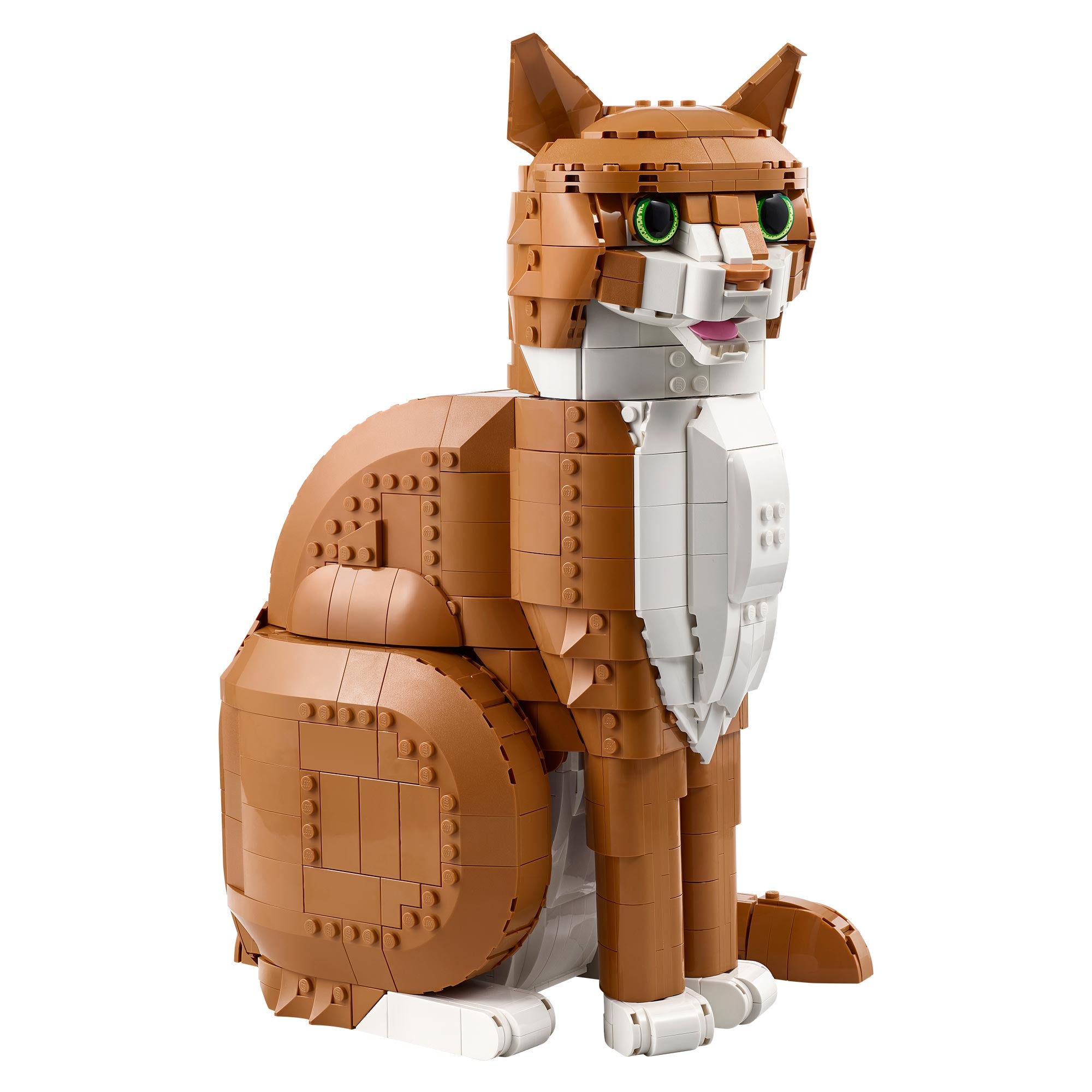Gato Naranja
