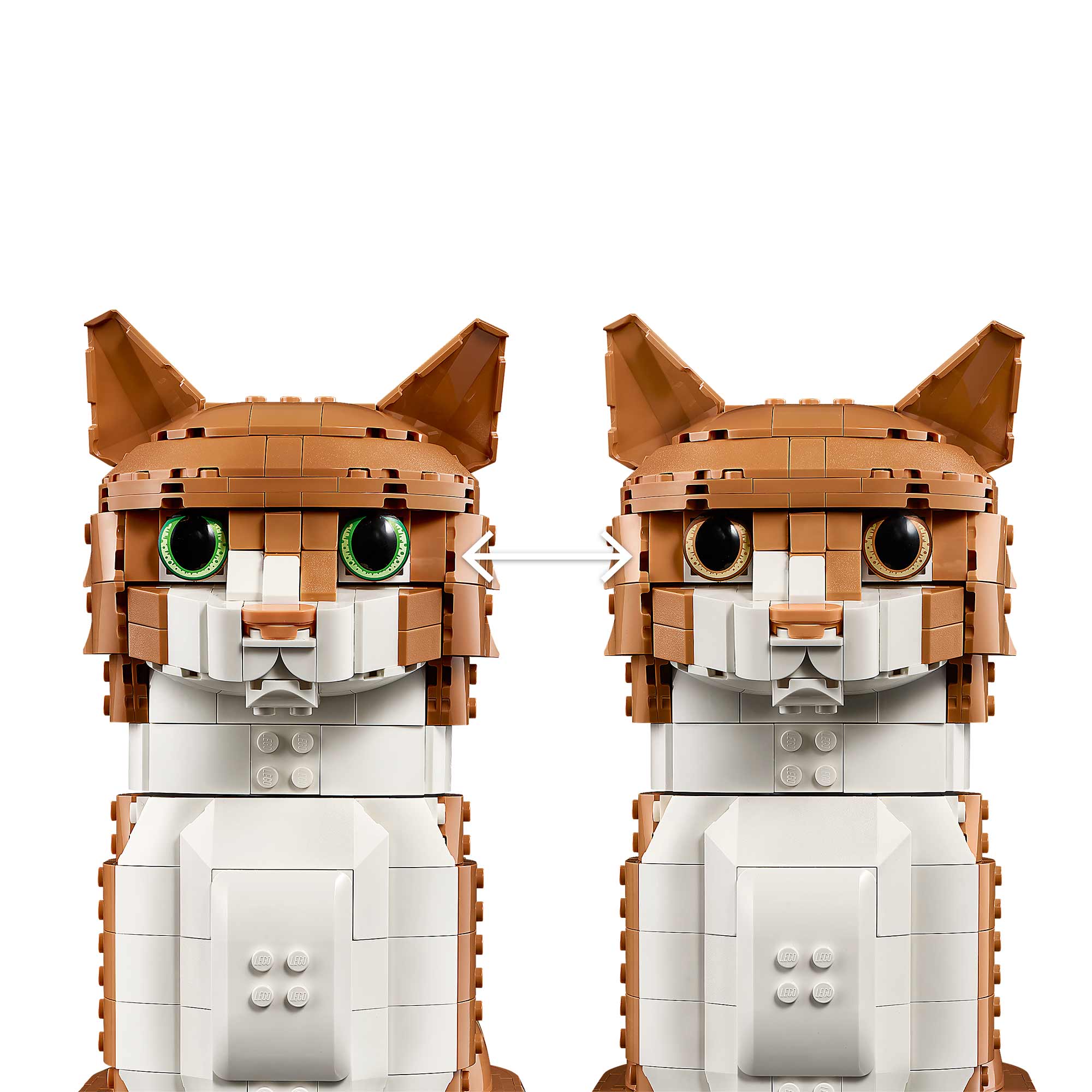 Gato Naranja