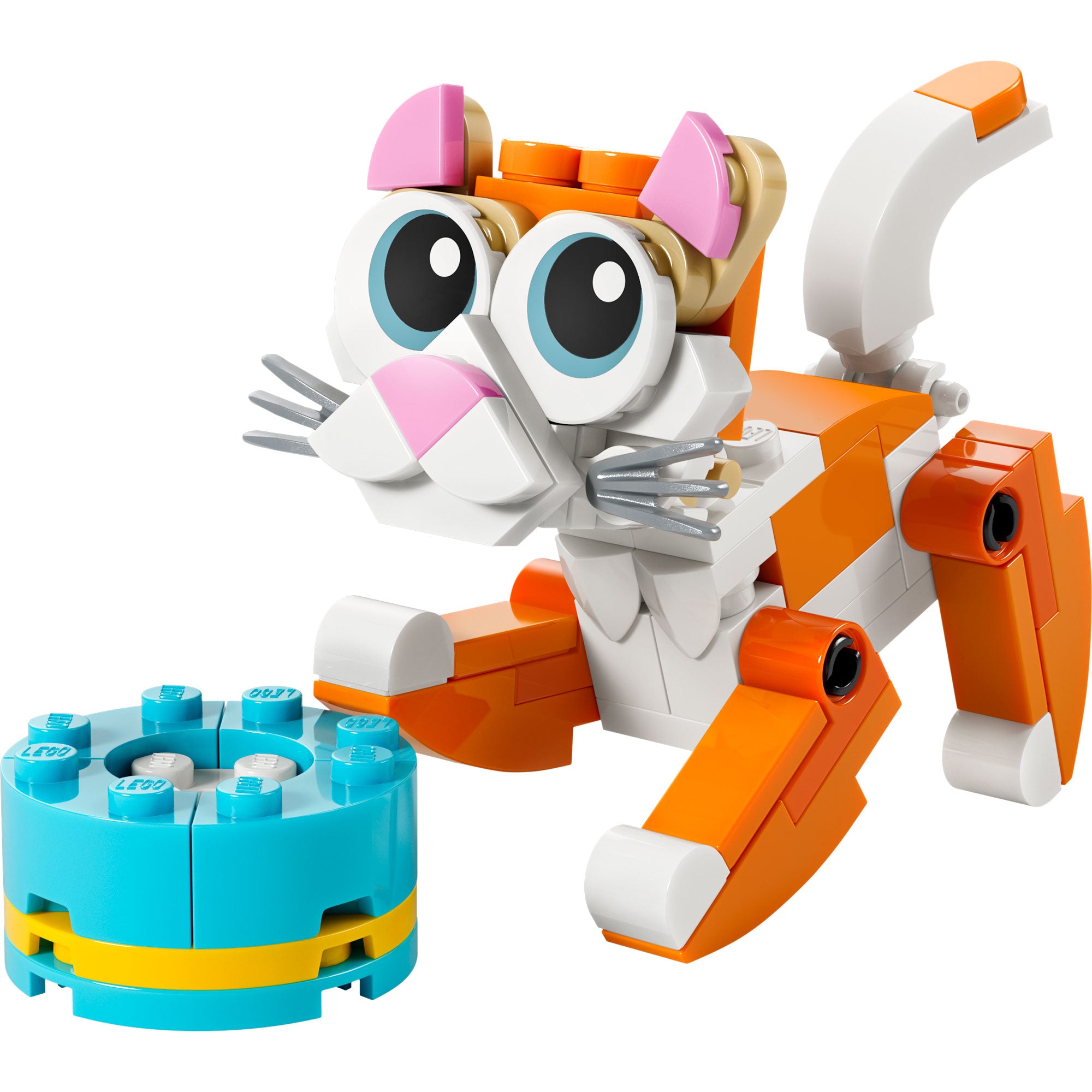 Gato Naranja