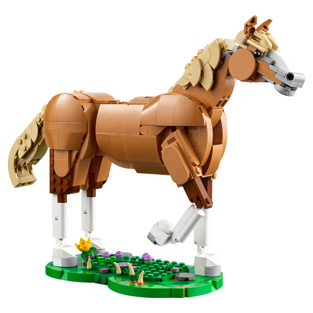 Caballo Noble