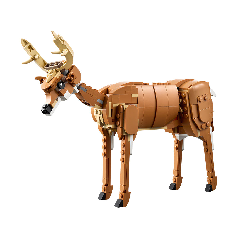 Caballo Noble