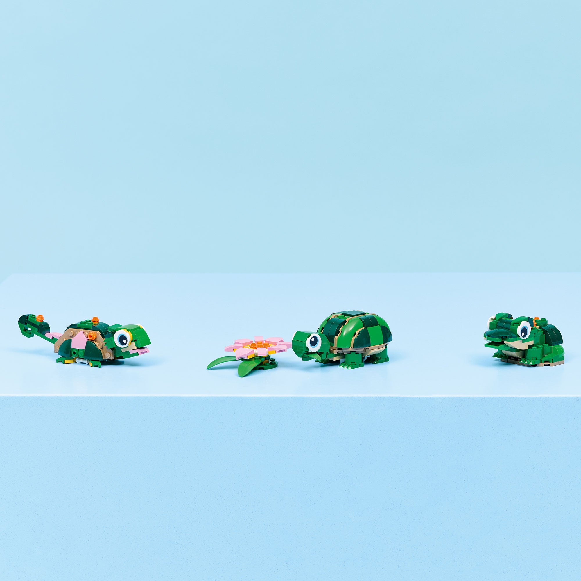 Tortuga con Flor de Nenúfar