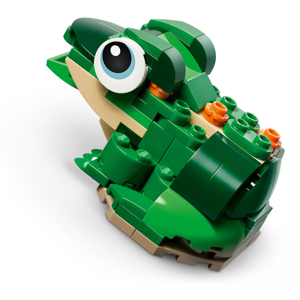 Tortuga con Flor de Nenúfar