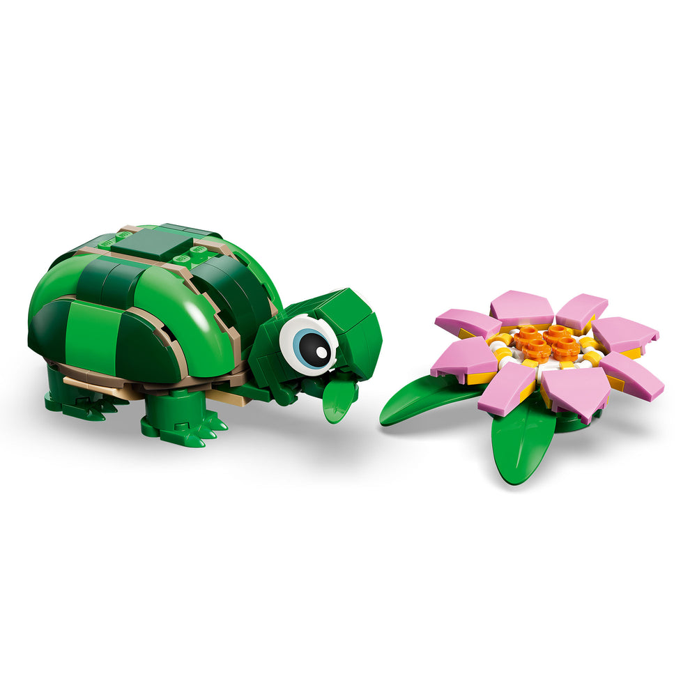 Tortuga con Flor de Nenúfar