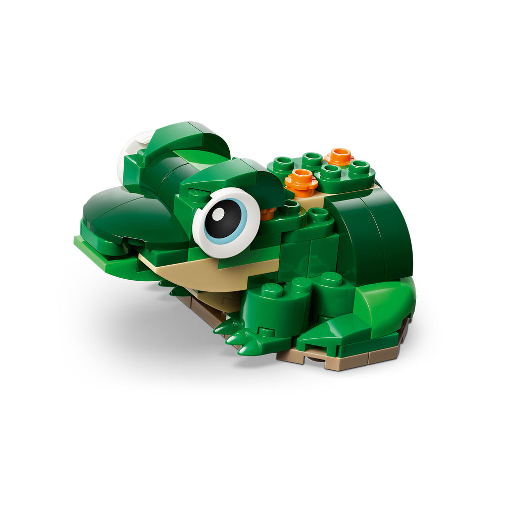 Tortuga con Flor de Nenúfar