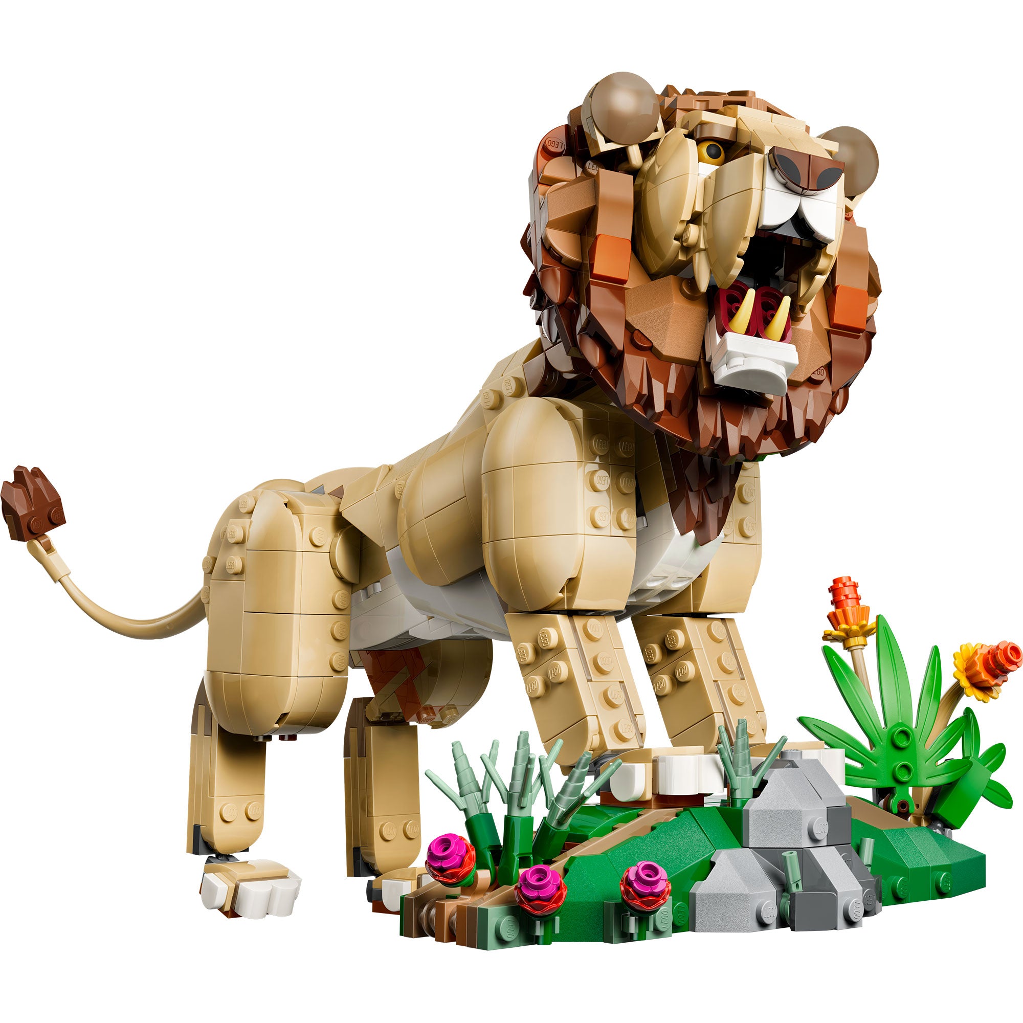 Fauna Salvaje: León Majestuoso