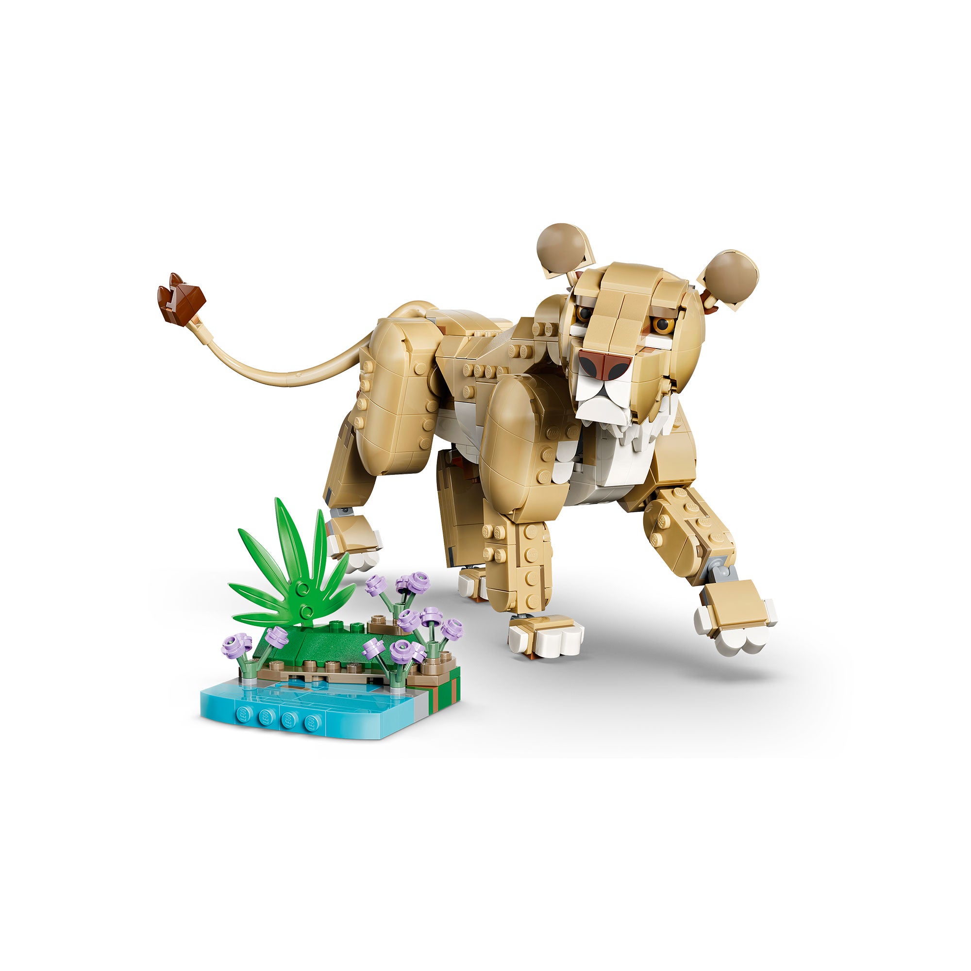 Fauna Salvaje: León Majestuoso