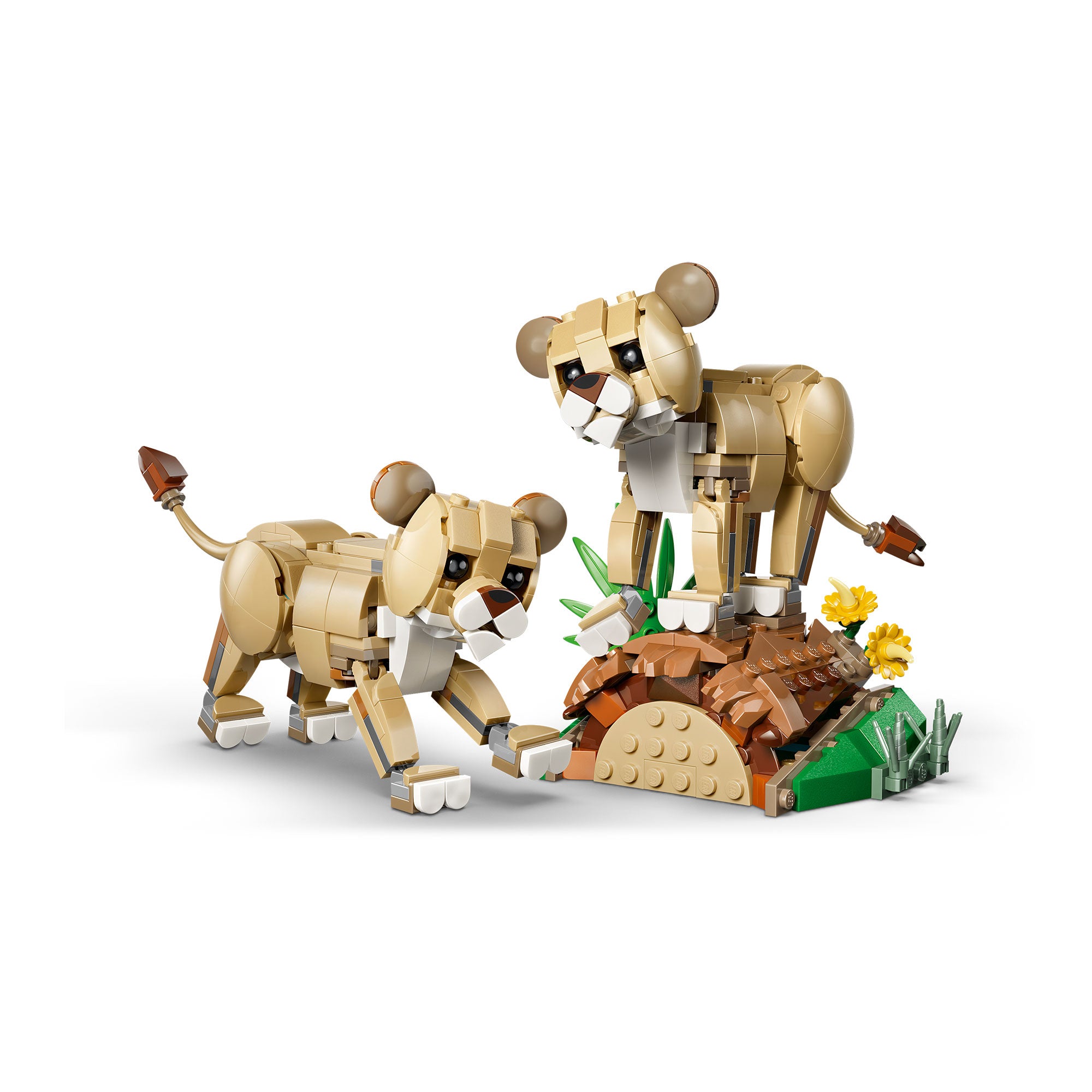Fauna Salvaje: León Majestuoso