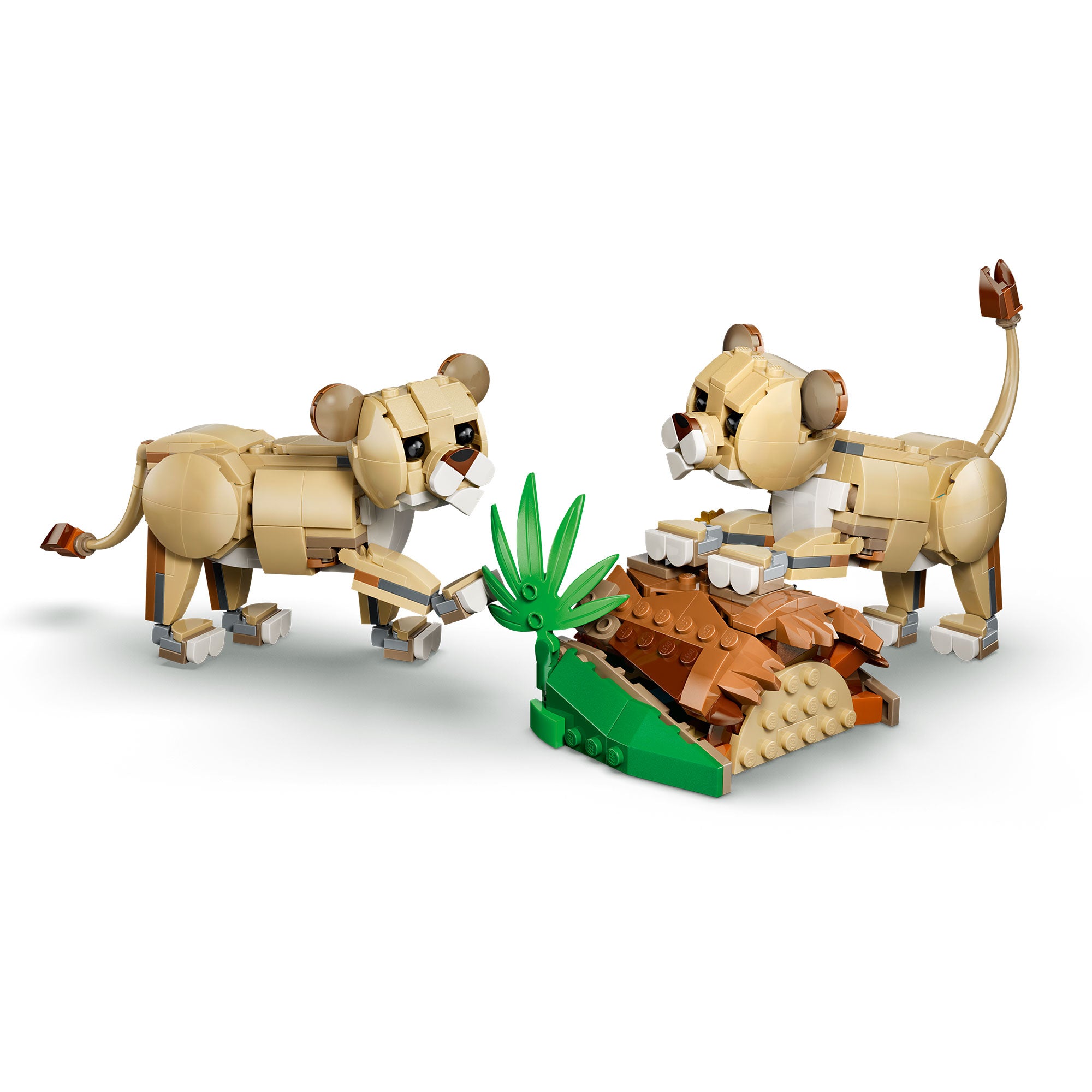 Fauna Salvaje: León Majestuoso