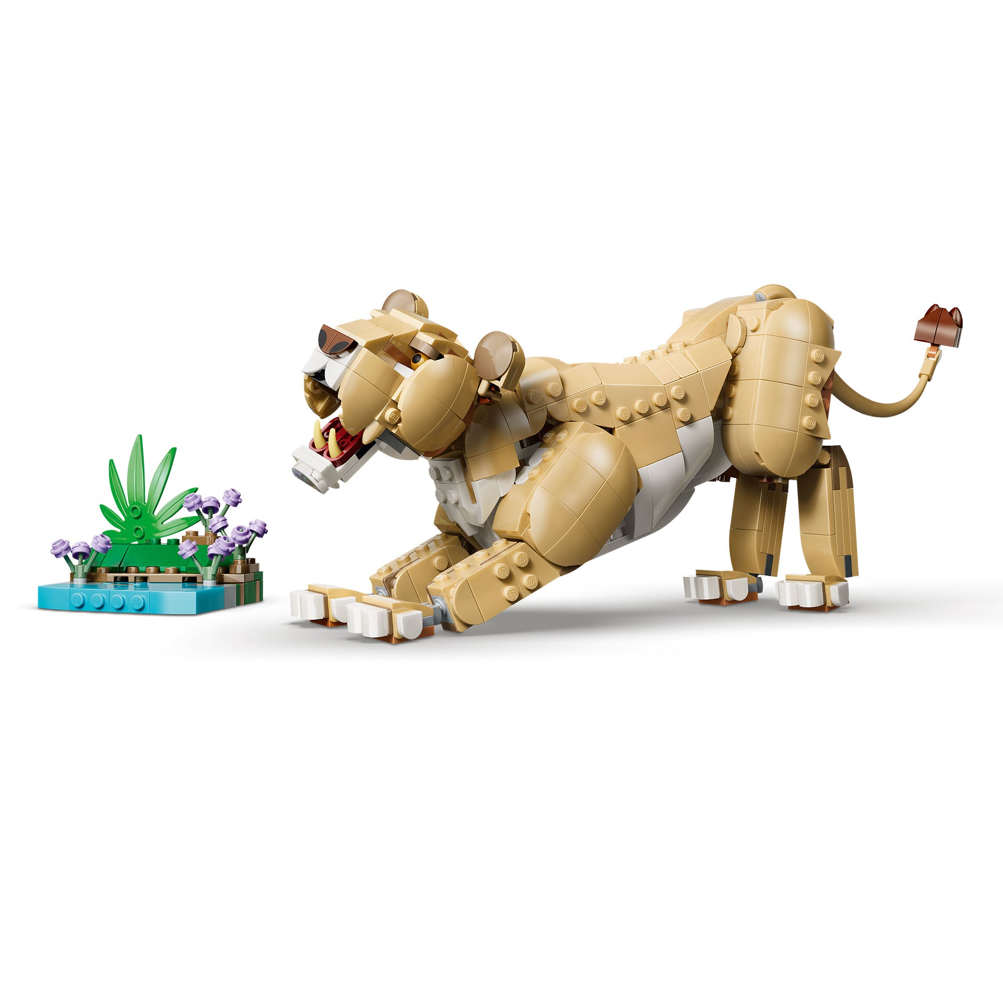 Fauna Salvaje: León Majestuoso