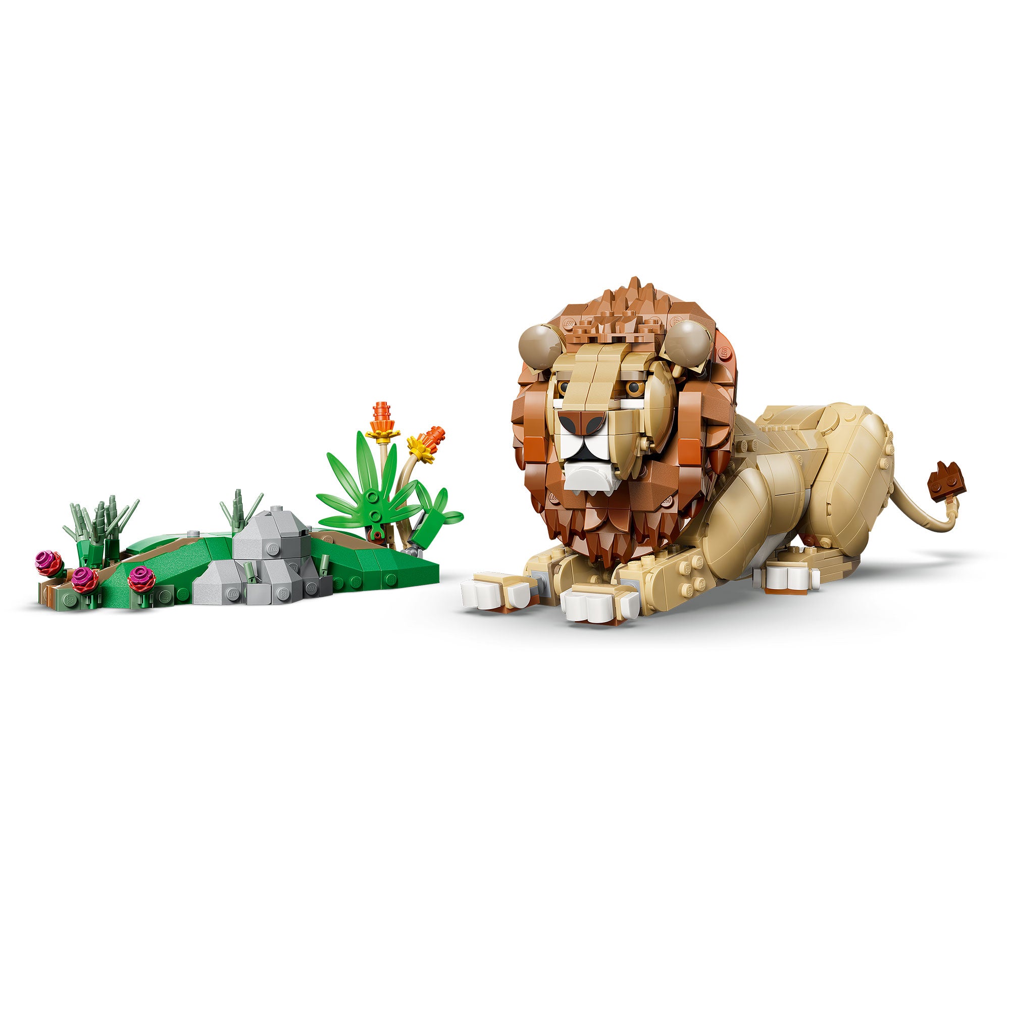Fauna Salvaje: León Majestuoso