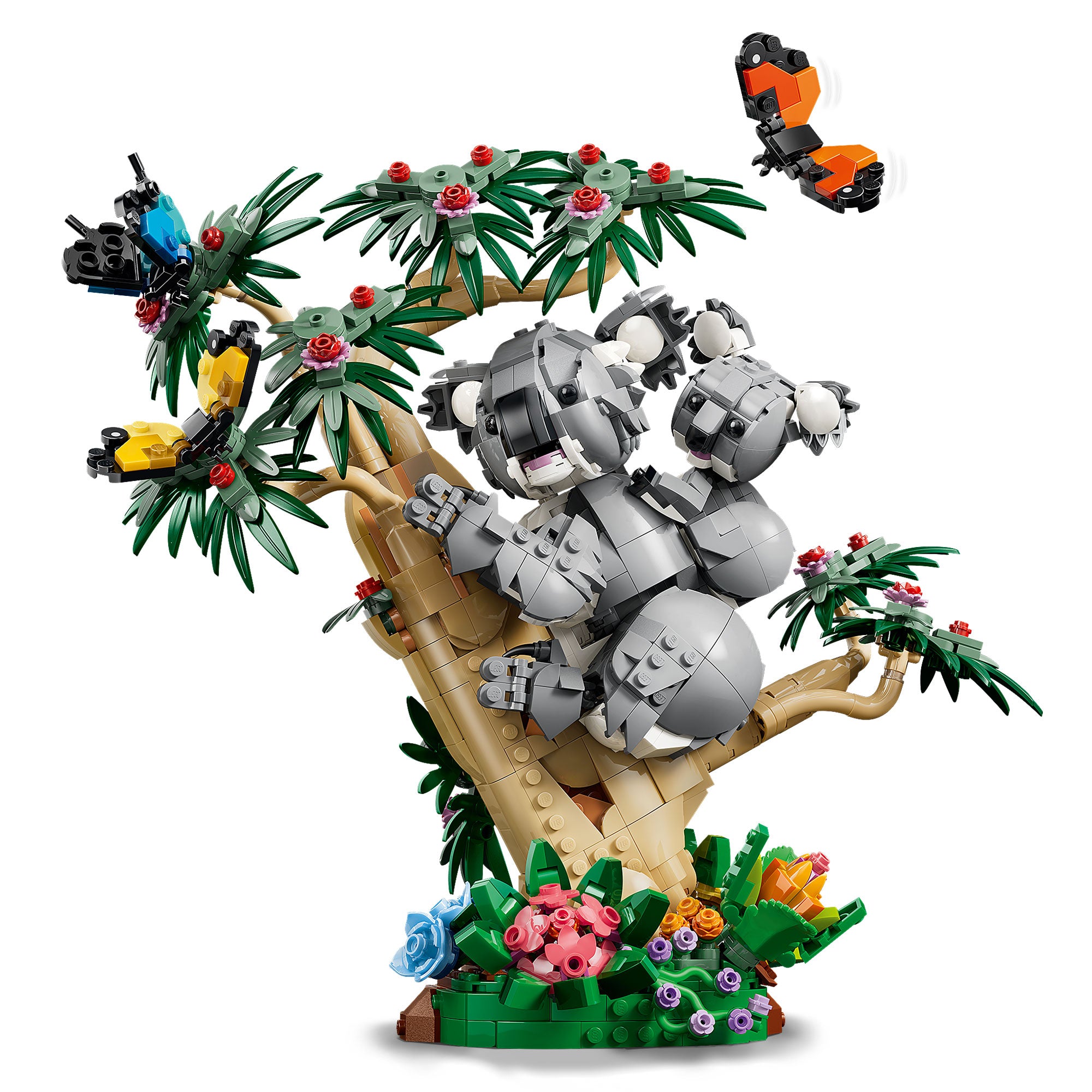 Fauna Salvaje: Familia de Koalas