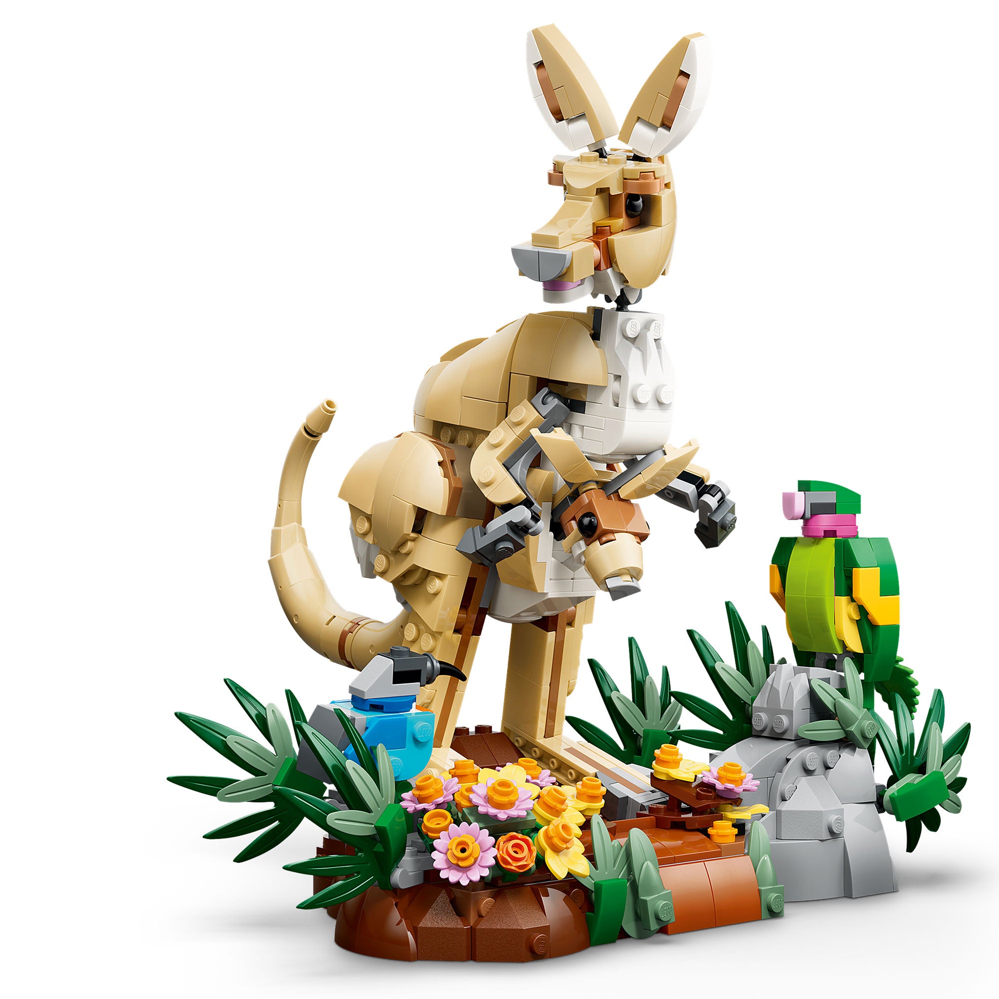 Fauna Salvaje: Familia de Koalas