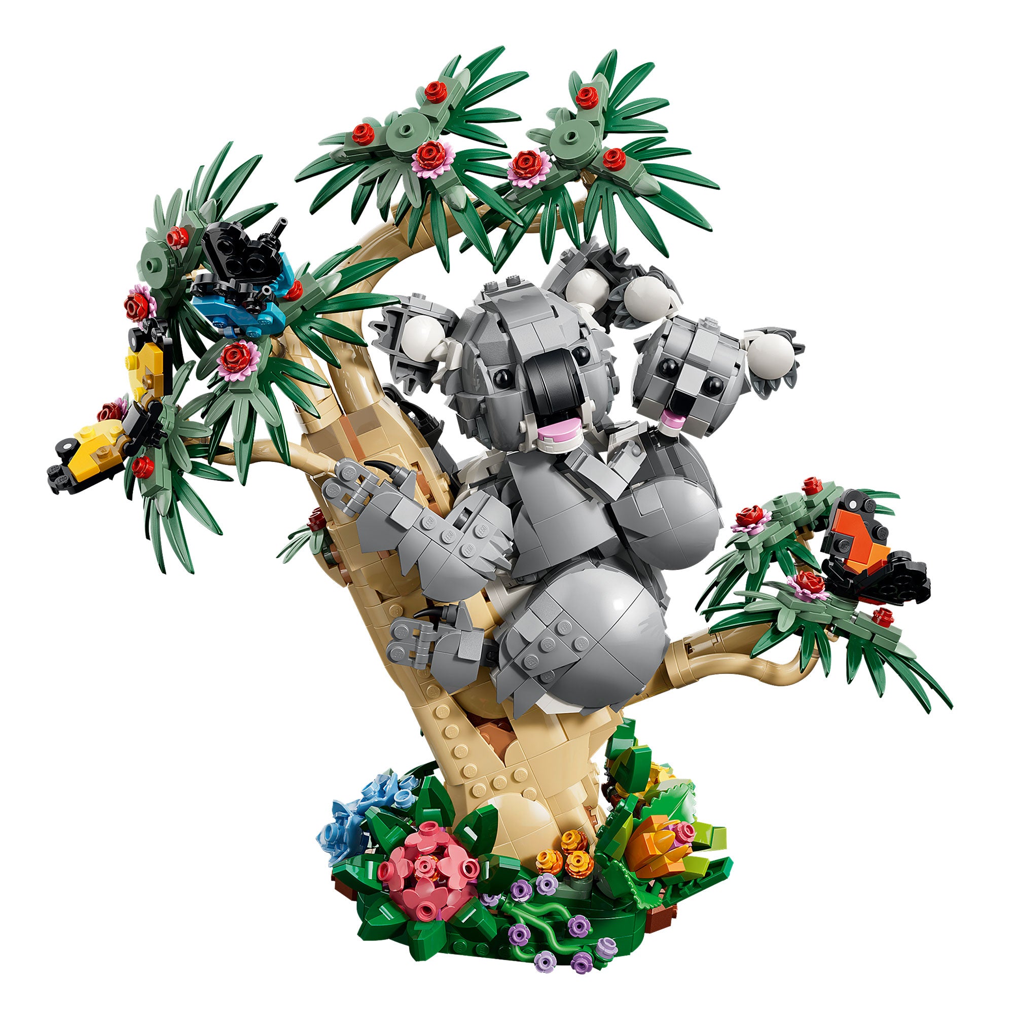 Fauna Salvaje: Familia de Koalas