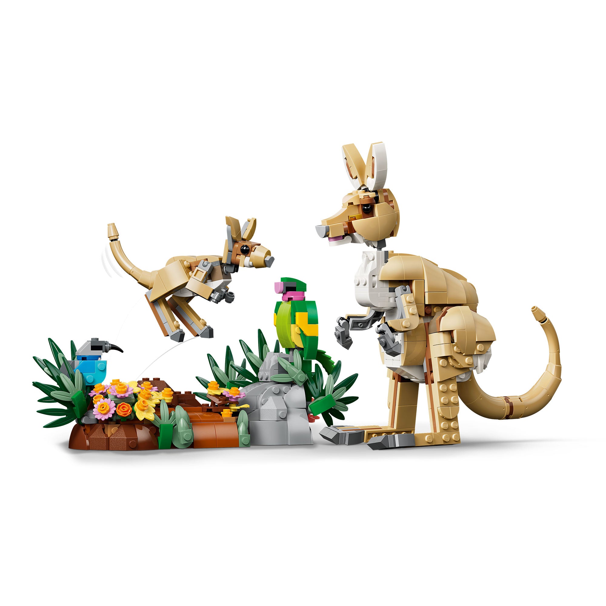 Fauna Salvaje: Familia de Koalas