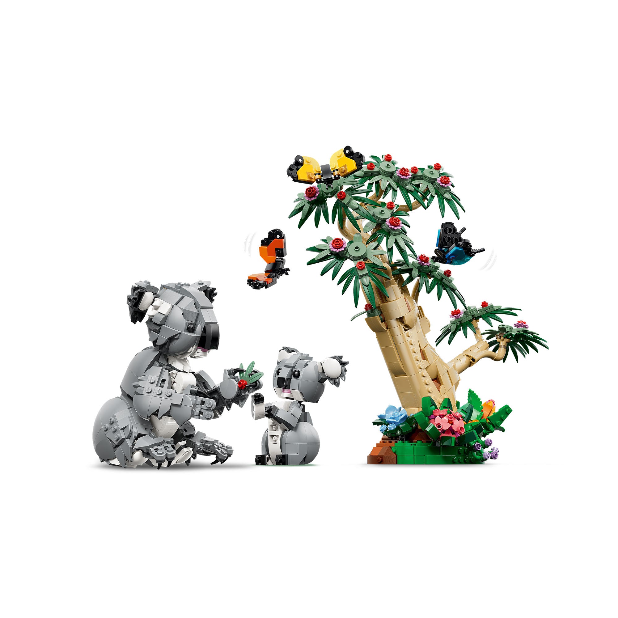 Fauna Salvaje: Familia de Koalas