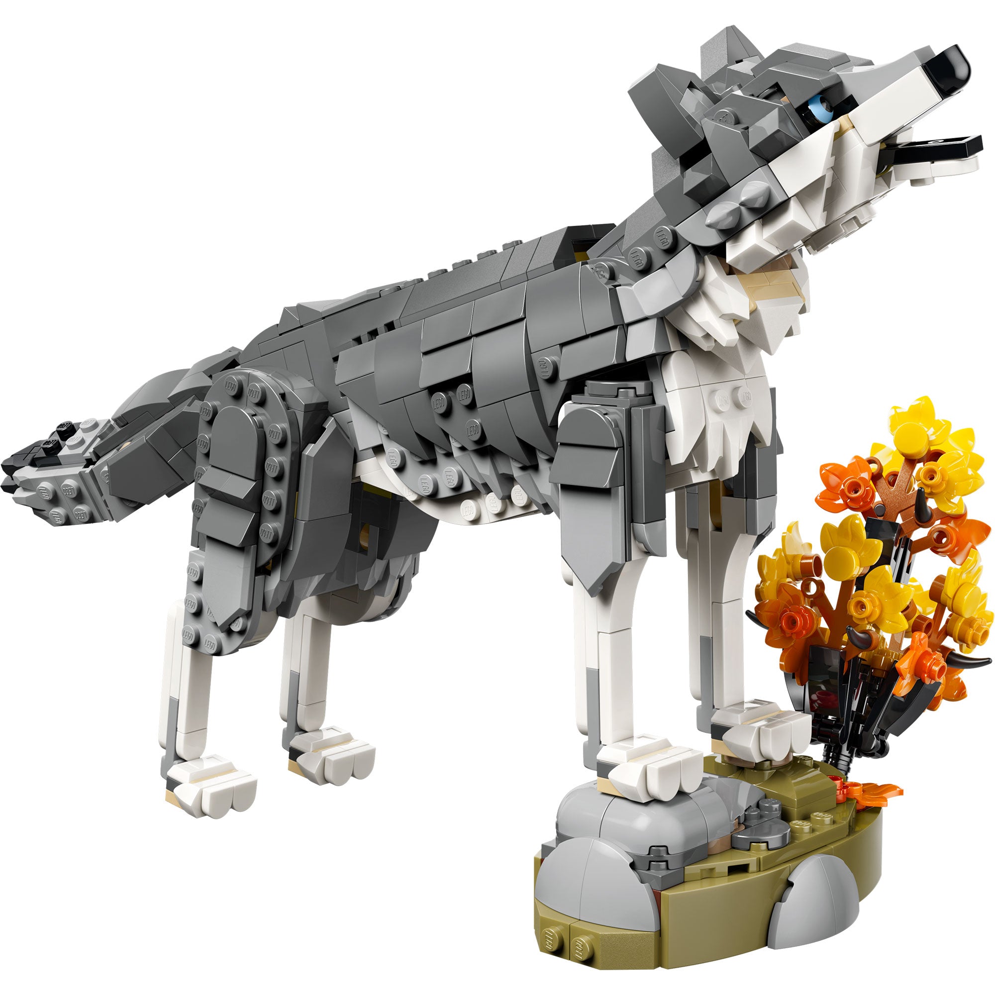Animales del Bosque: Lobo Gris